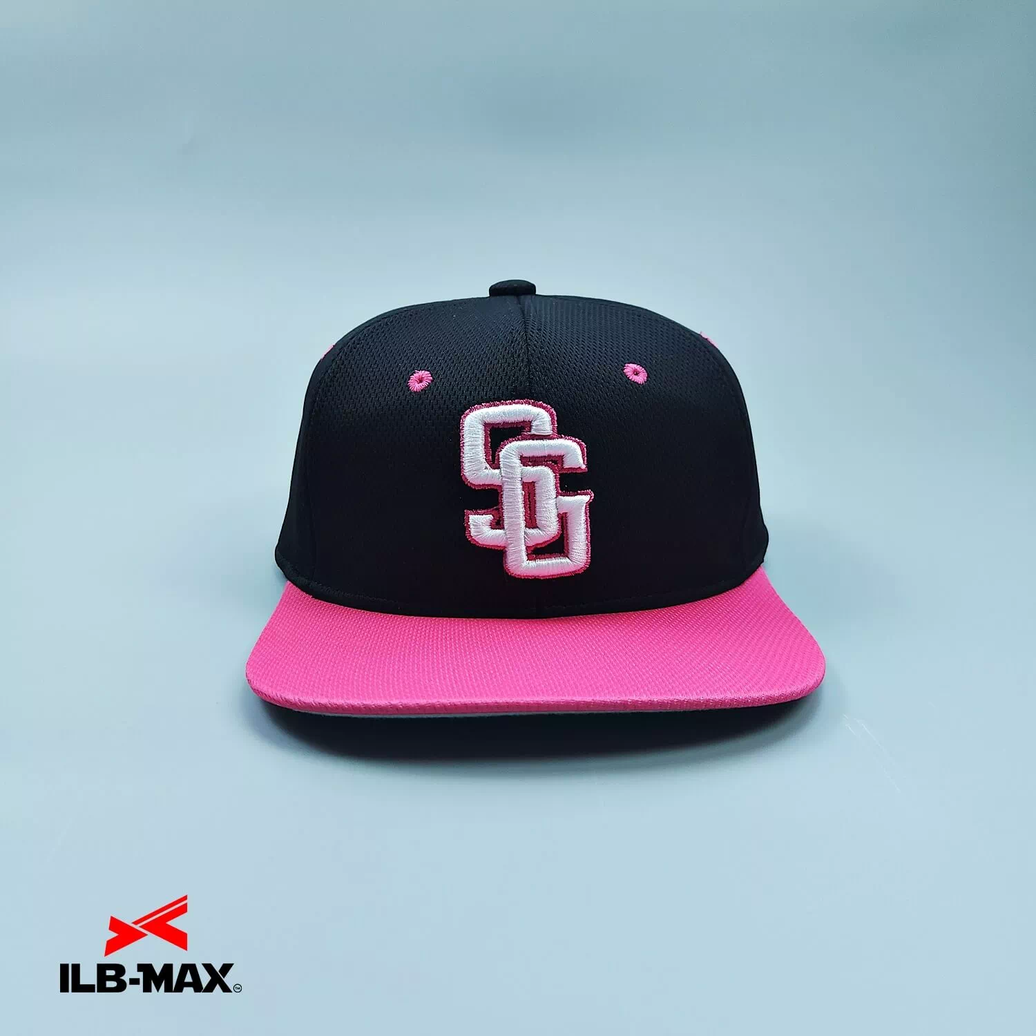 saitamakengyouseisyoshikai6