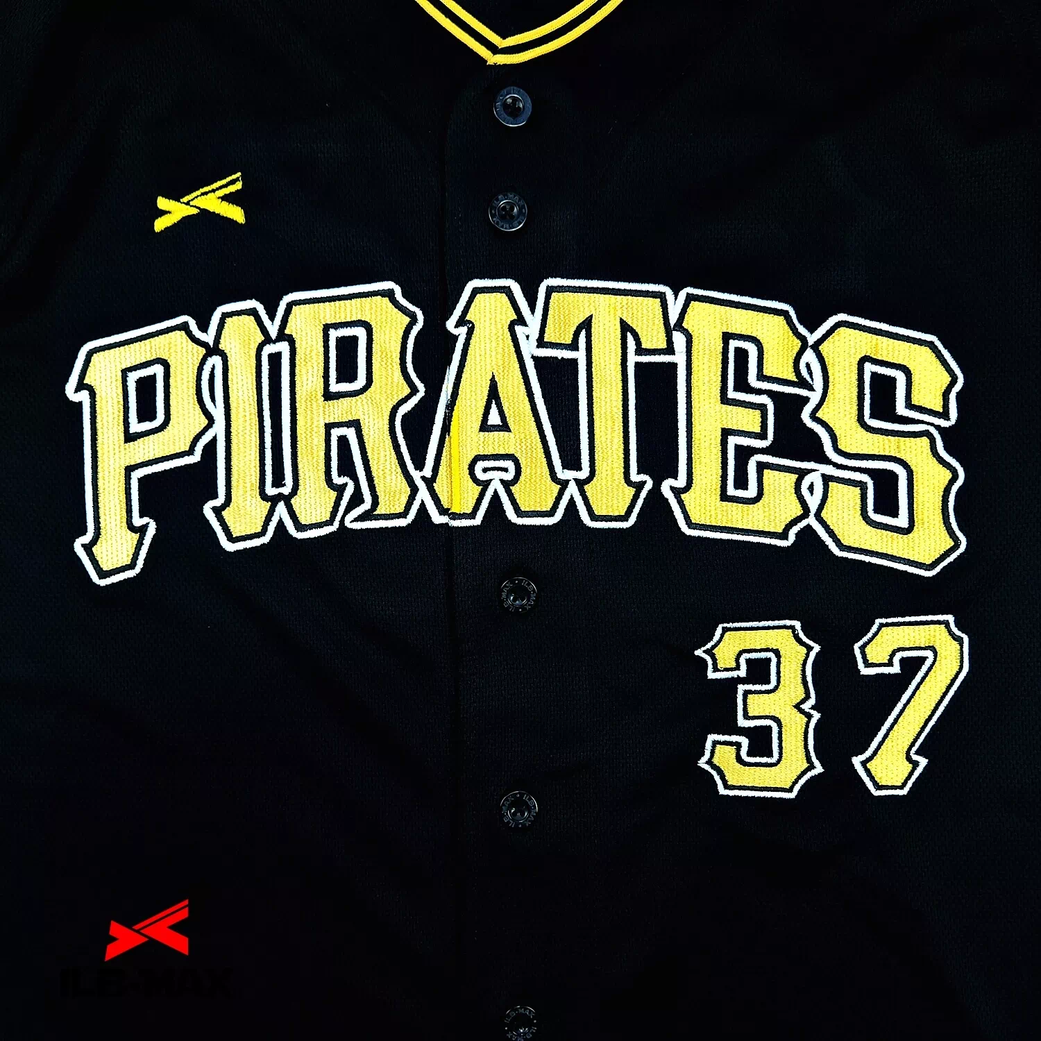 AMANUMA Pirates2