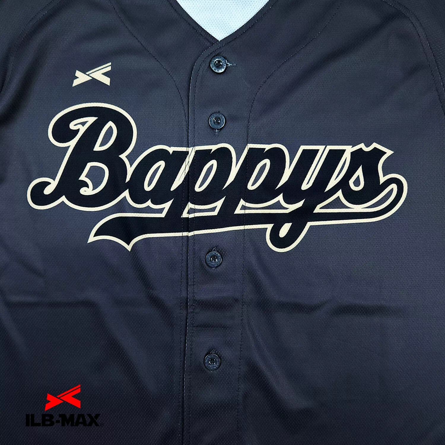 BAPPYS2