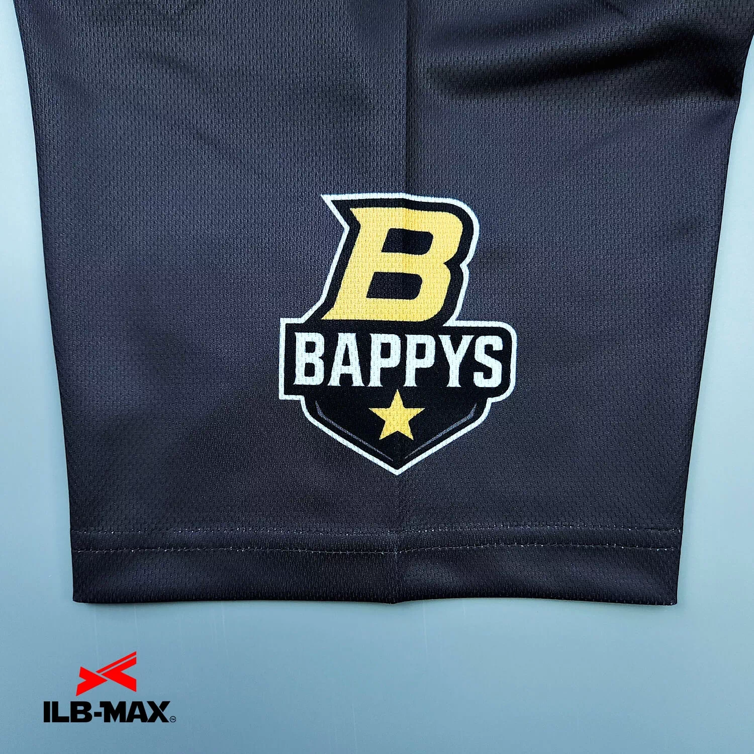 BAPPYS4