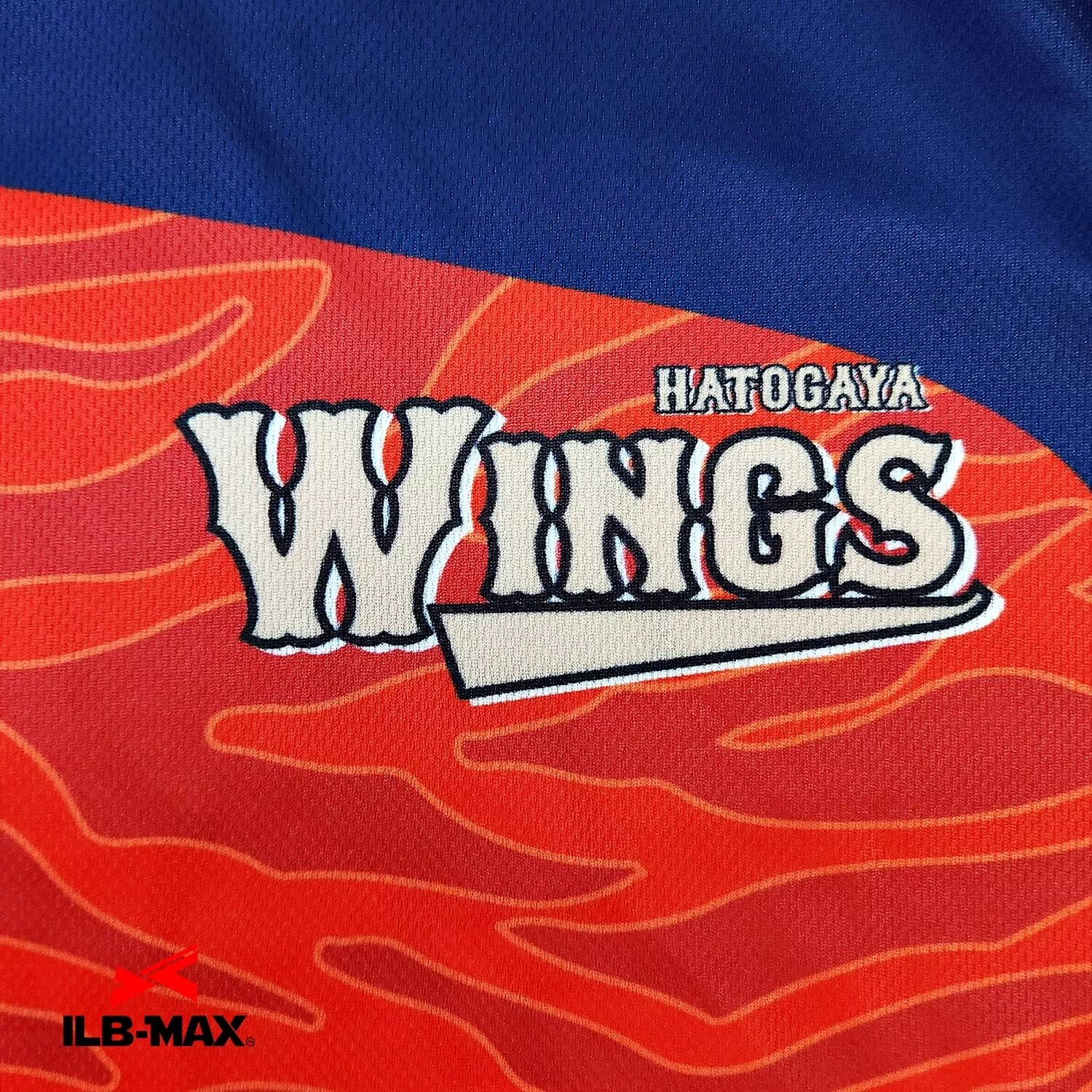 HATOGAYA WINGS_ST2