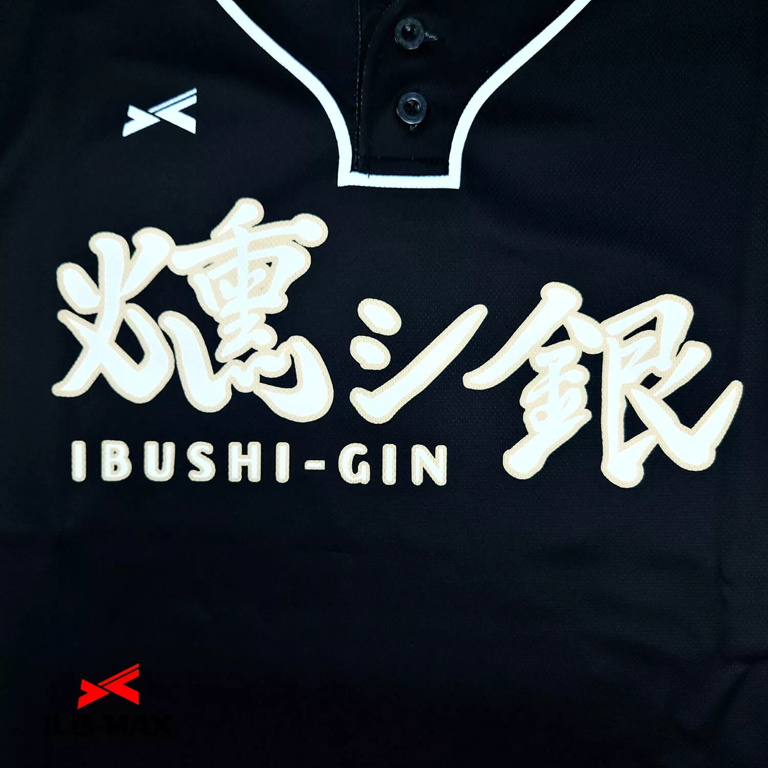 IBUSHIGIN_1st2