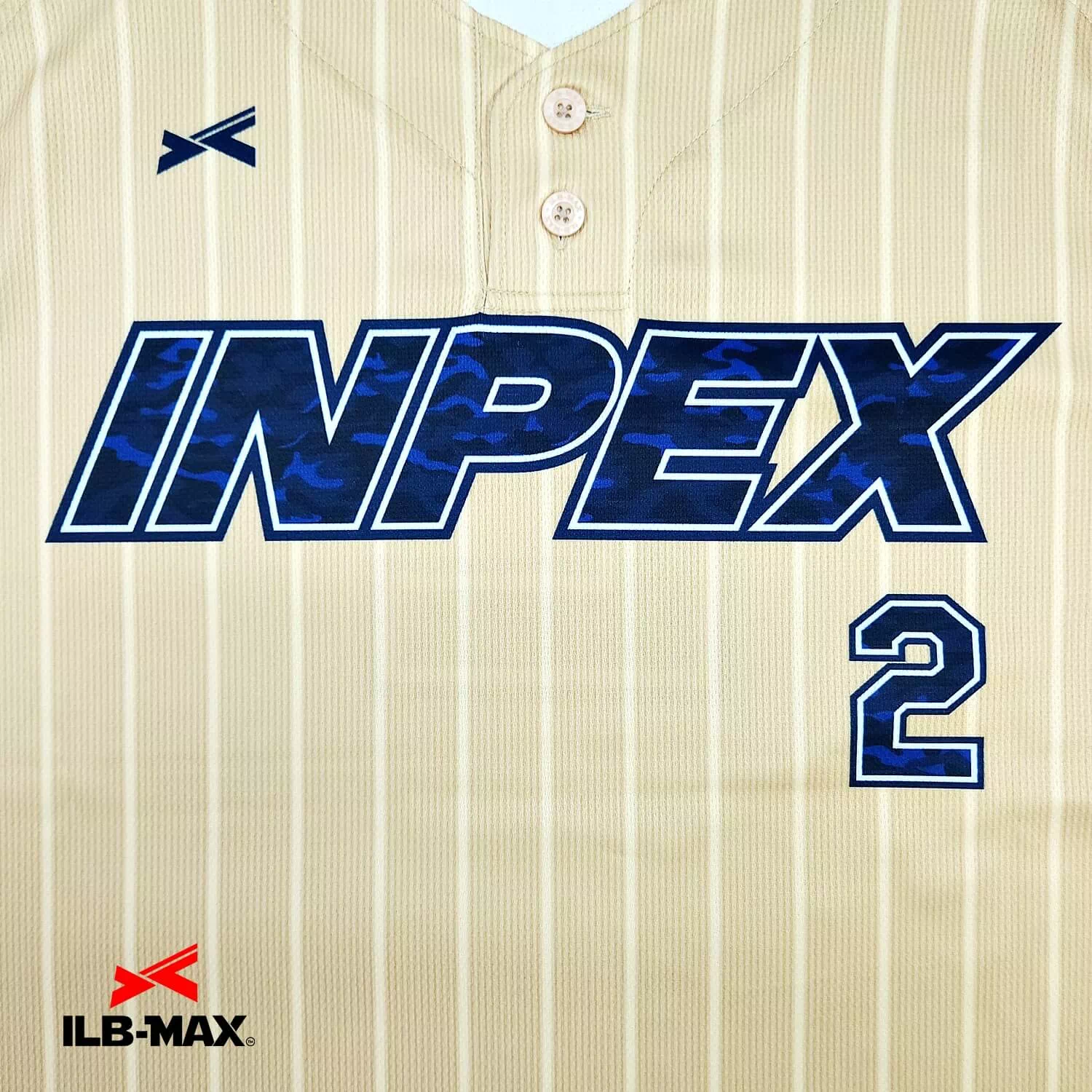 INPEX2