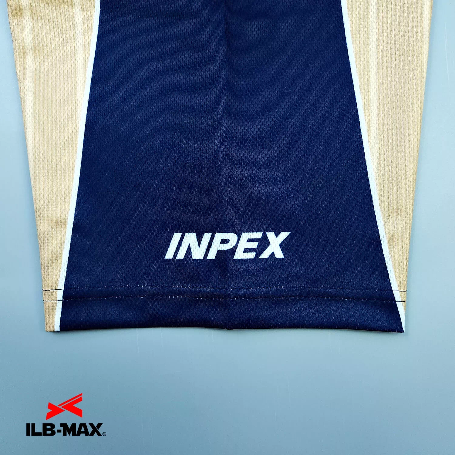 INPEX4