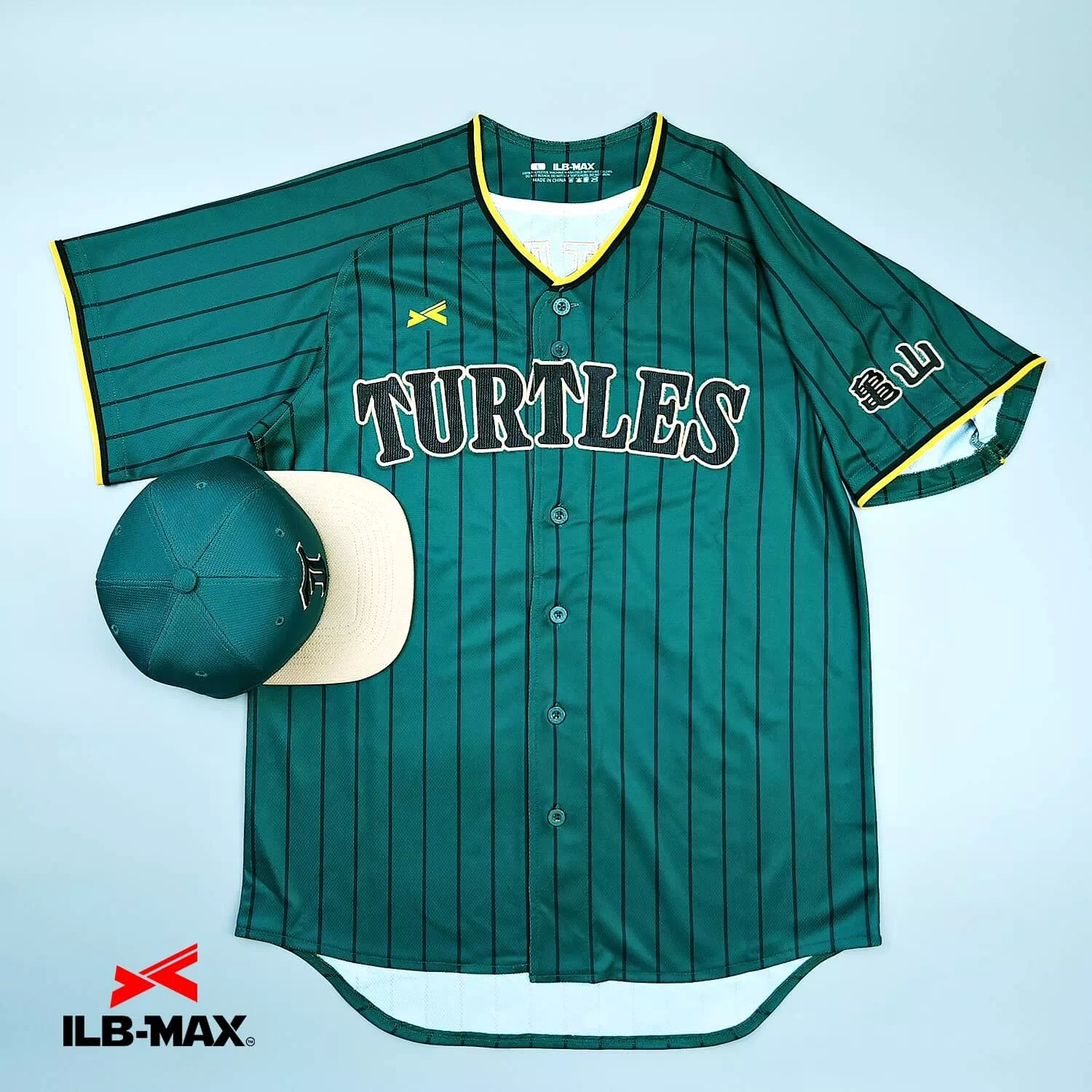 KAMEYAMA Turtles_1st1