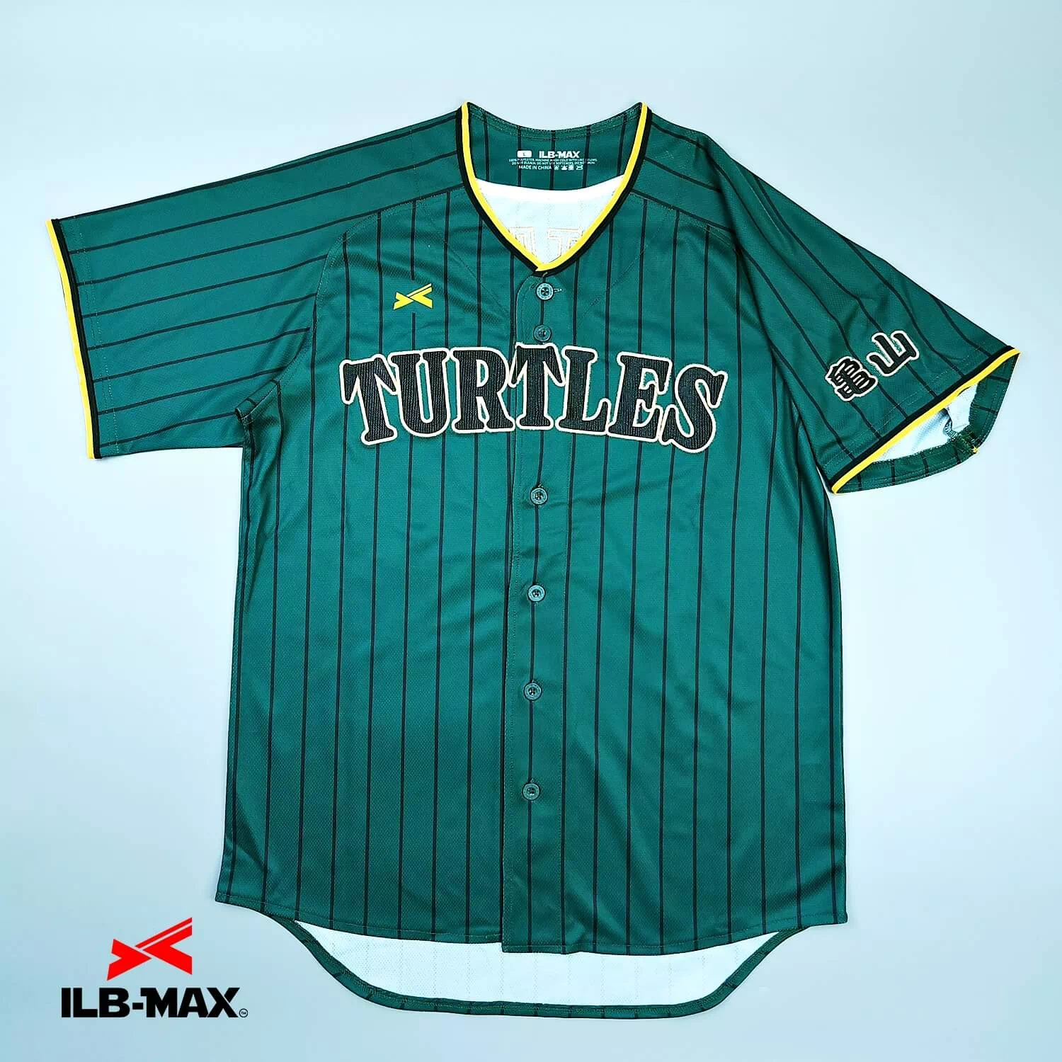 KAMEYAMA Turtles_1st2