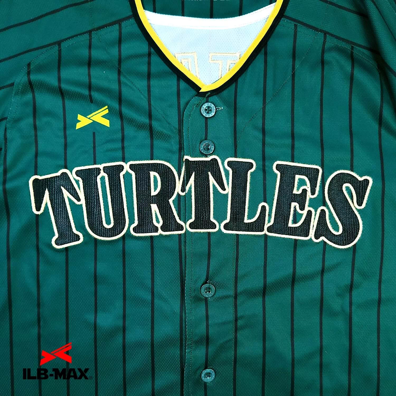 KAMEYAMA Turtles_1st3