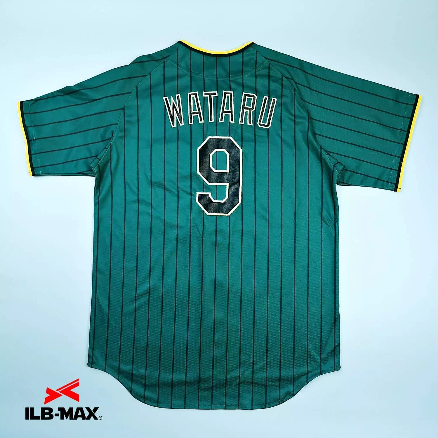 KAMEYAMA Turtles_1st5