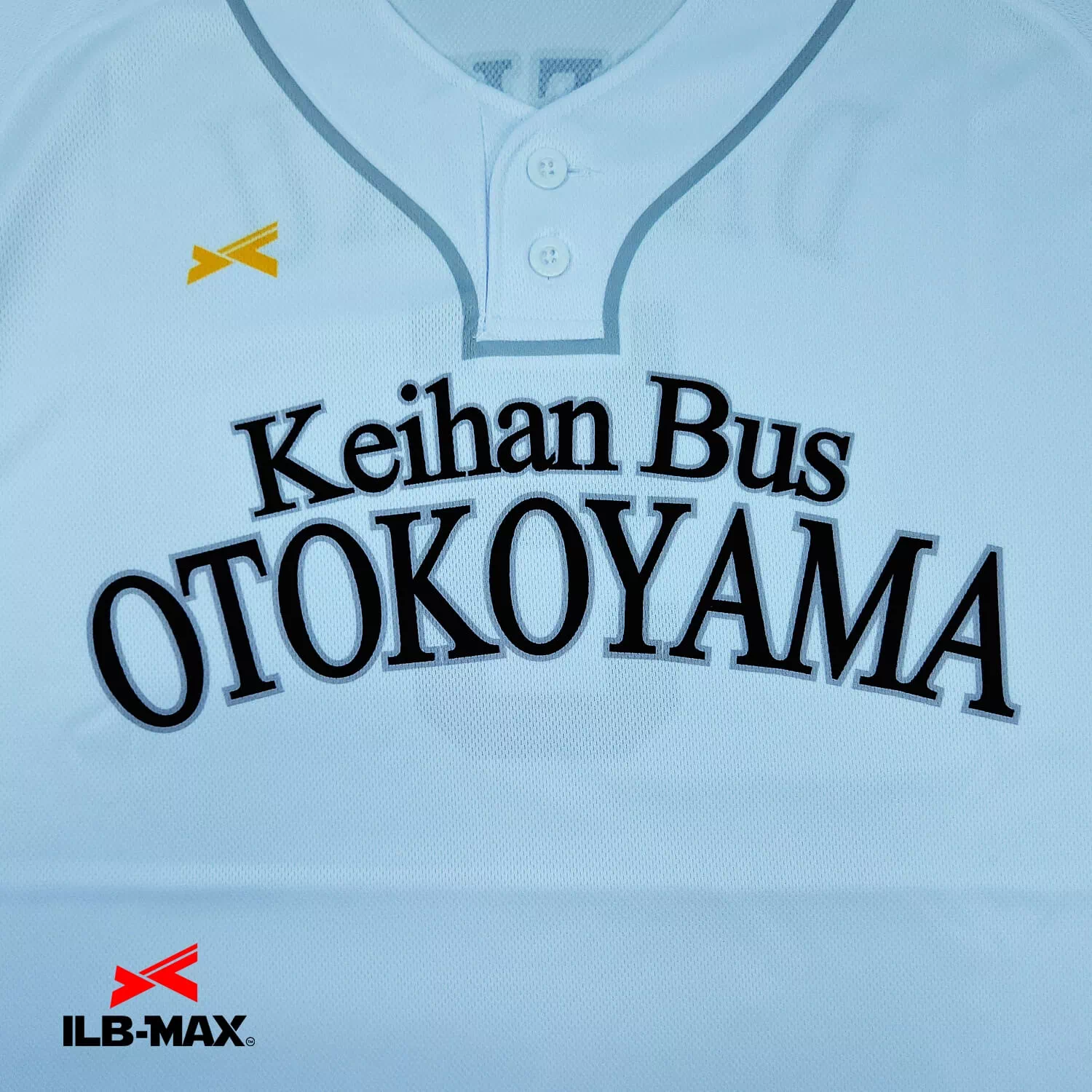 KEIHAN BUS OTOKOYAMA2