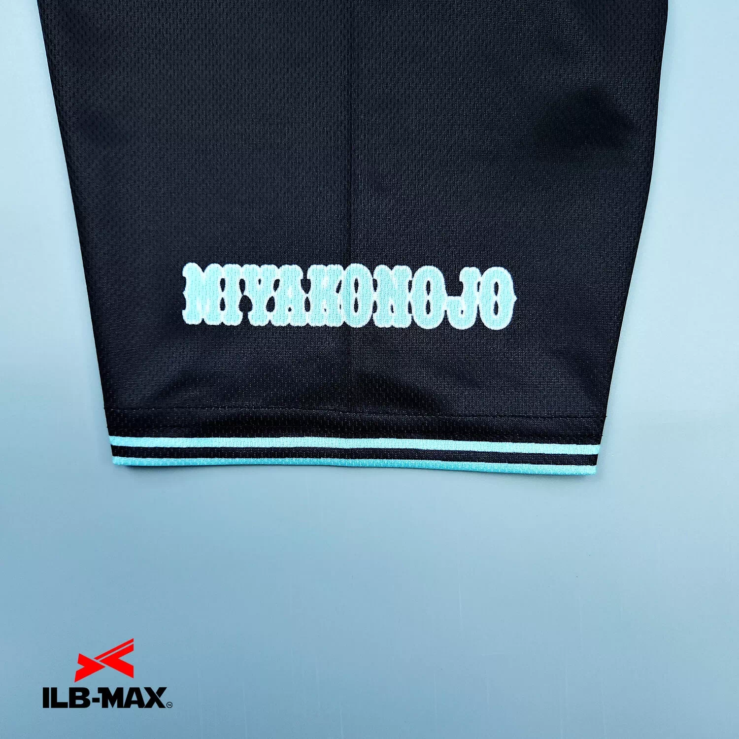 MIYAZAKI BLUE SOX_ST2