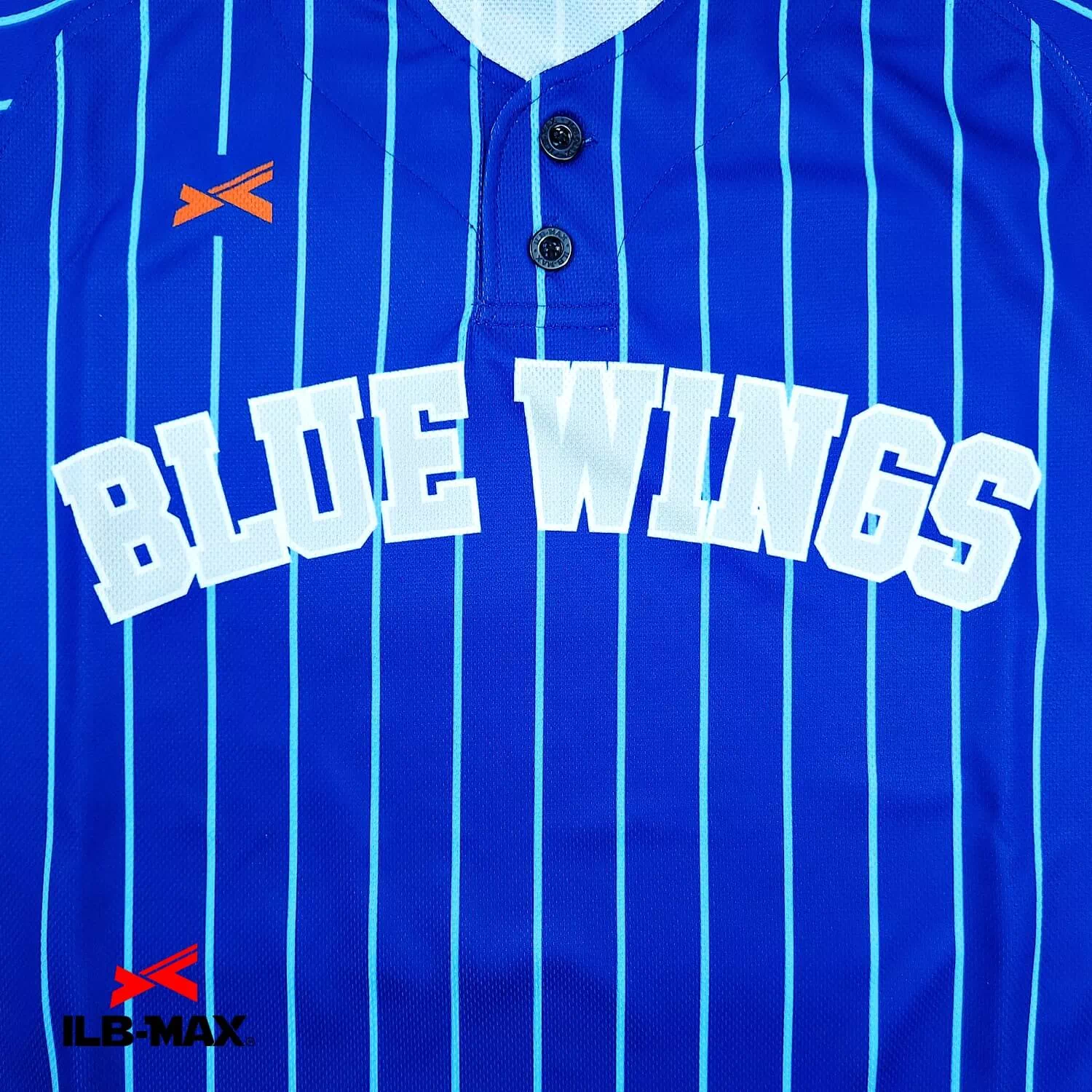 MIZUHO BLUE WINGS_1st1