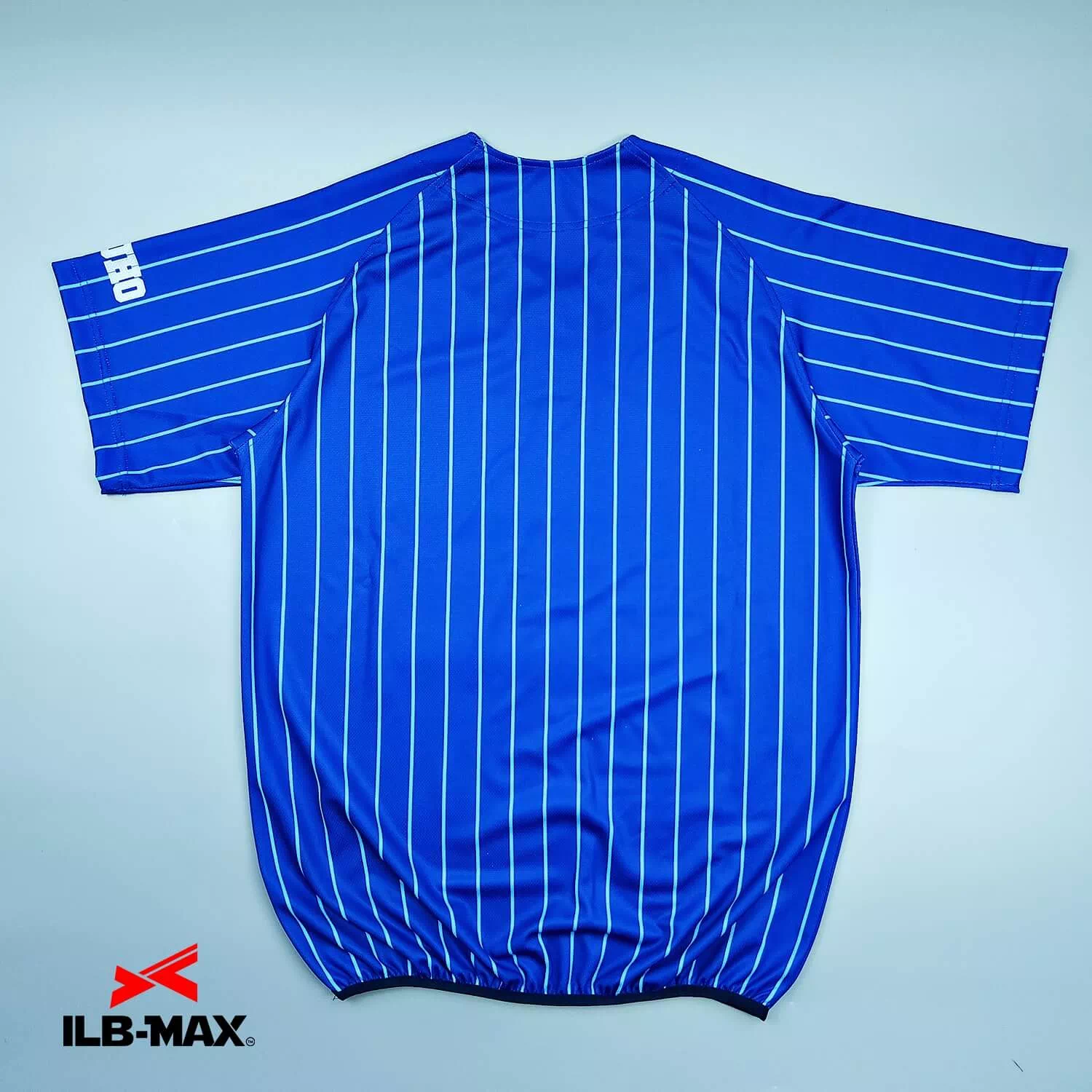 MIZUHO BLUE WINGS_1st3