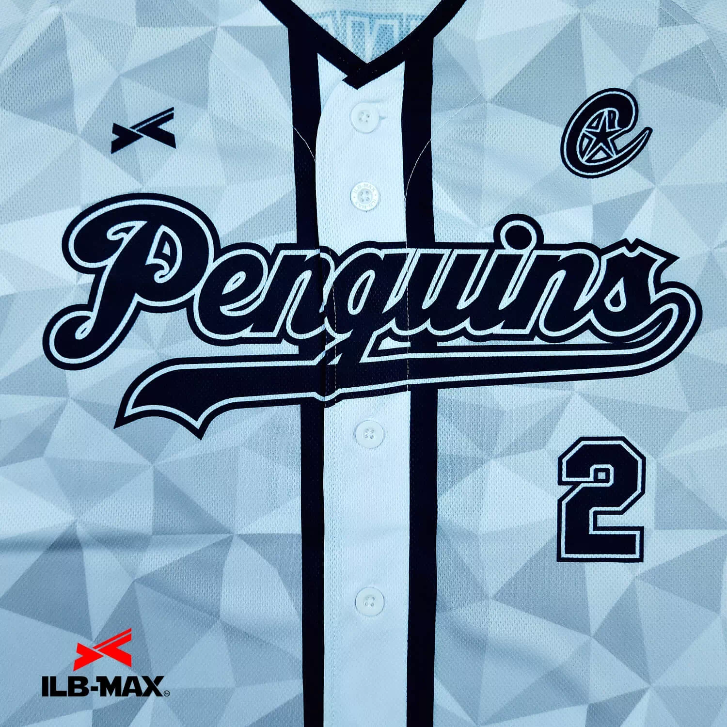 Magarikane Penguins_1st2
