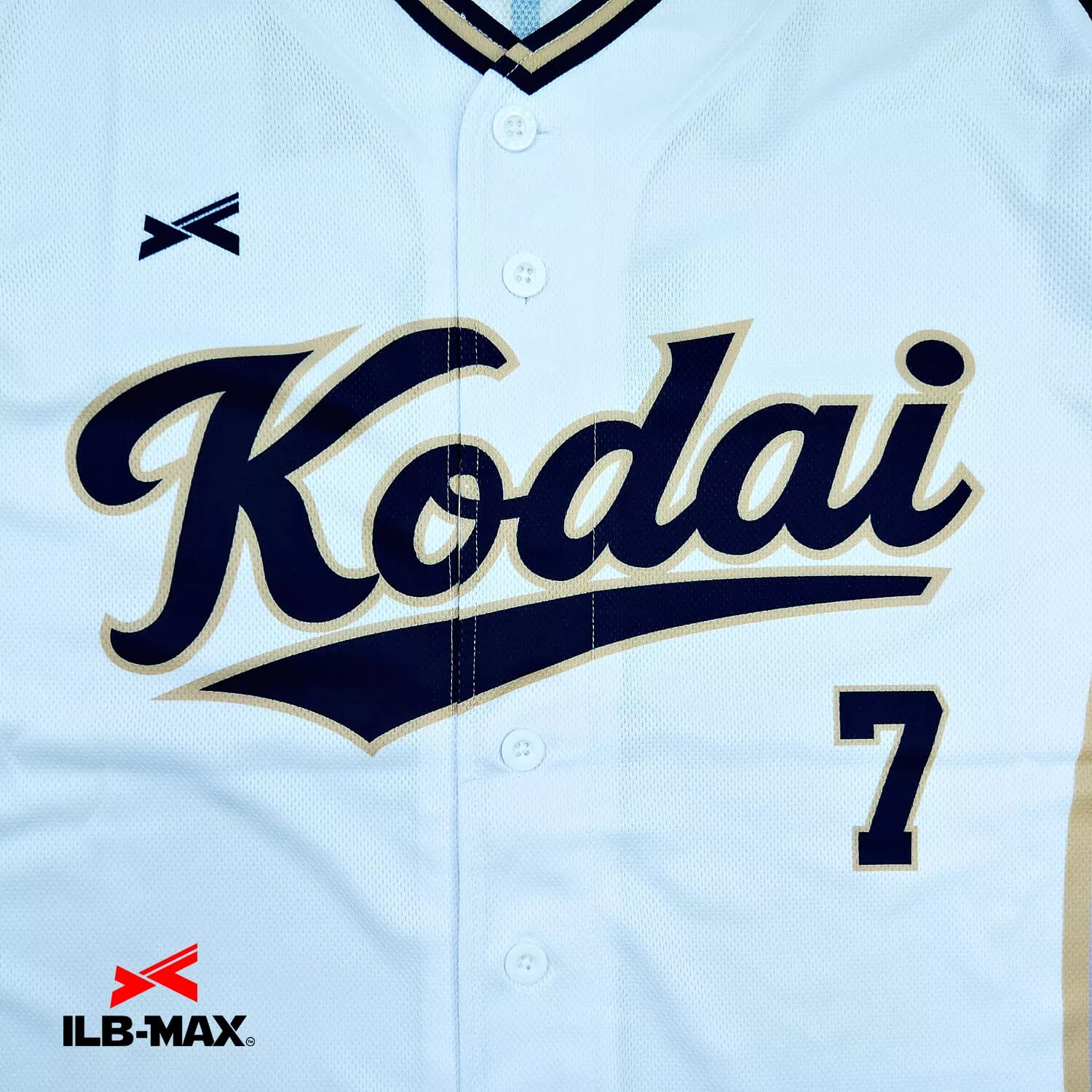TOHOKU KODAI2