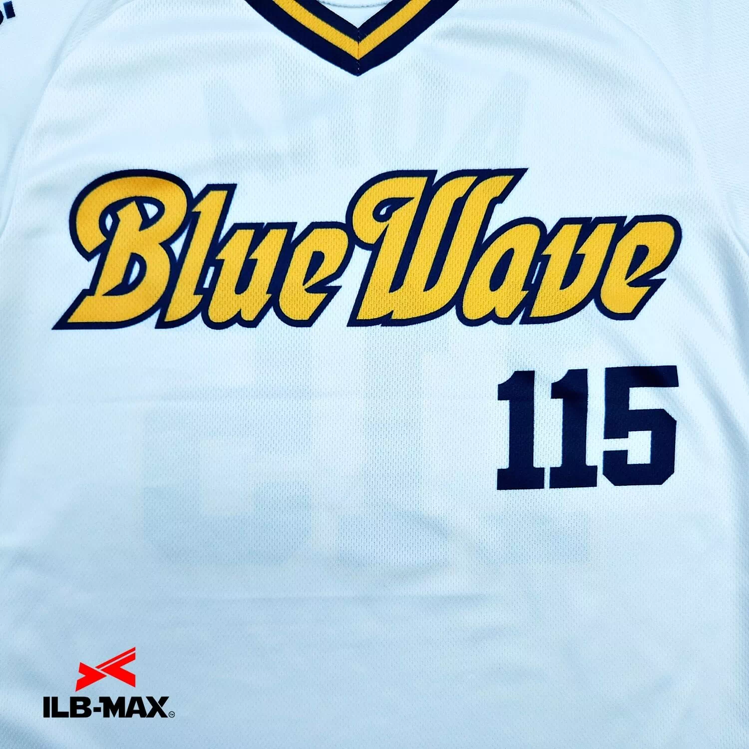 TOTTORI BlueWave 1st_ST1