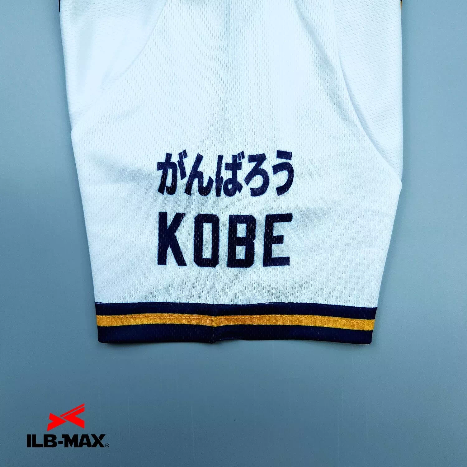 TOTTORI BlueWave 1st_ST2