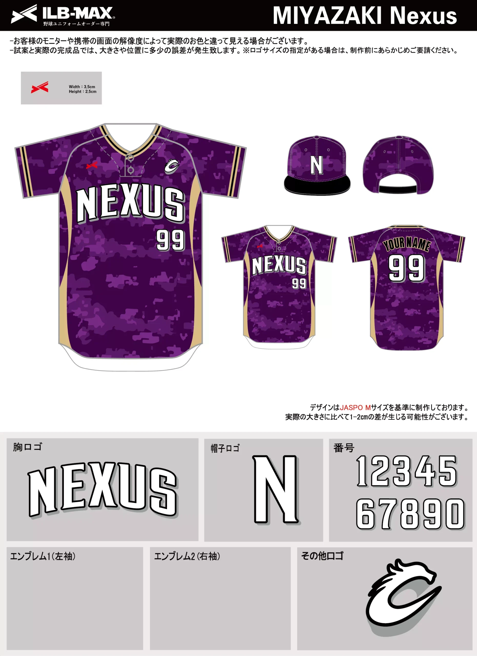 野球 ユニフォーム デザイン_MIYAZAKI Nexus.webp