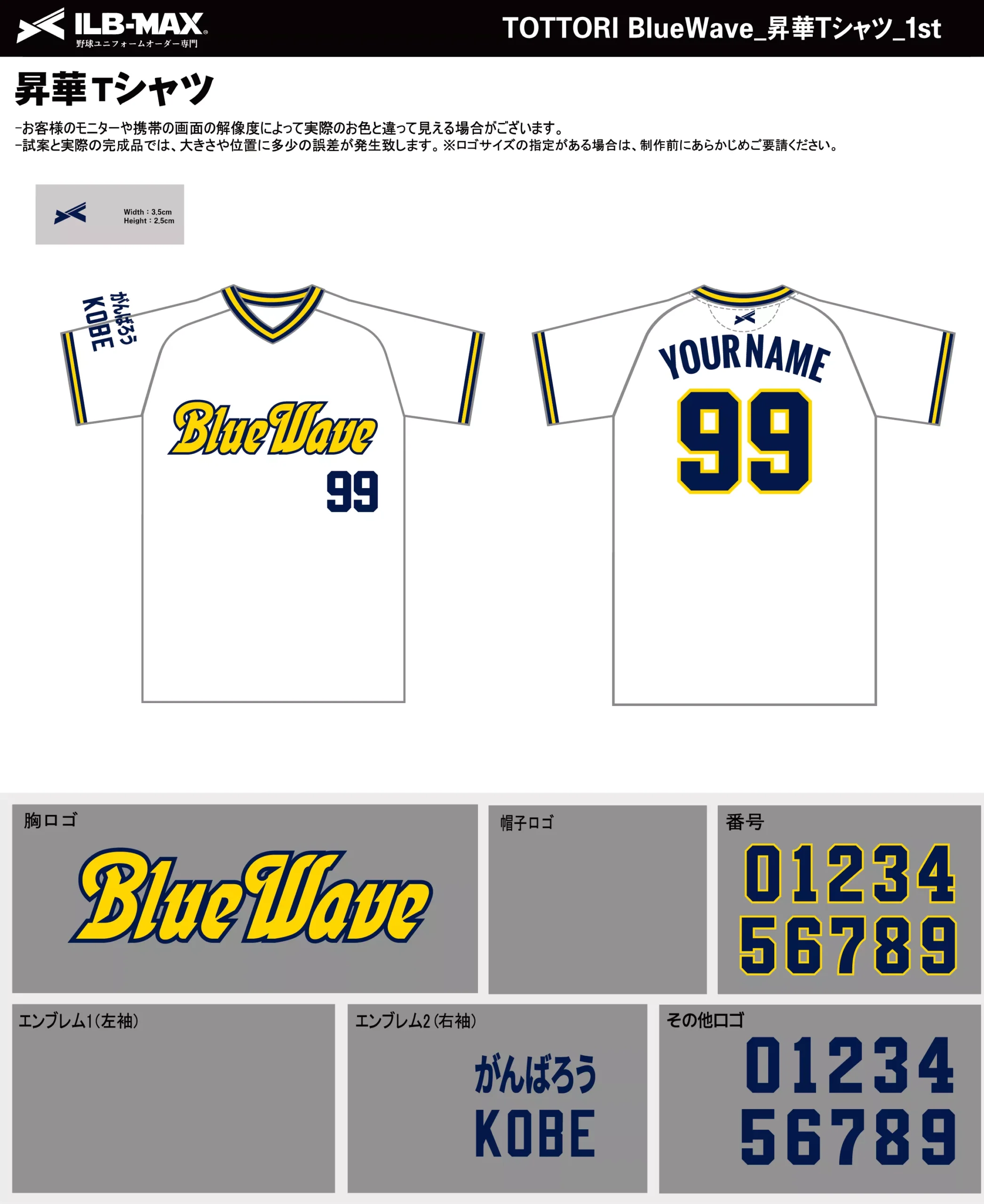 野球 ユニフォーム デザイン_TOTTORI BlueWave_1st_ST.webp
