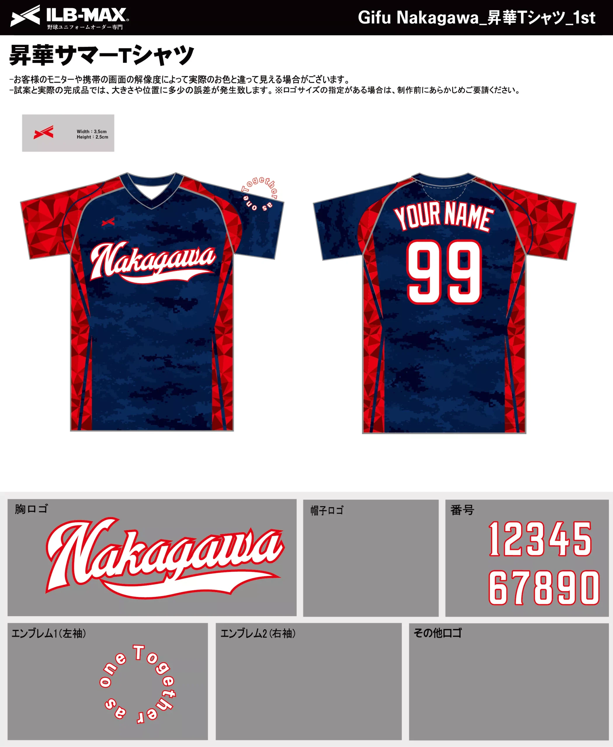 野球 ユニフォーム デザイン_Gifu Nakagawa_1st_ST.webp