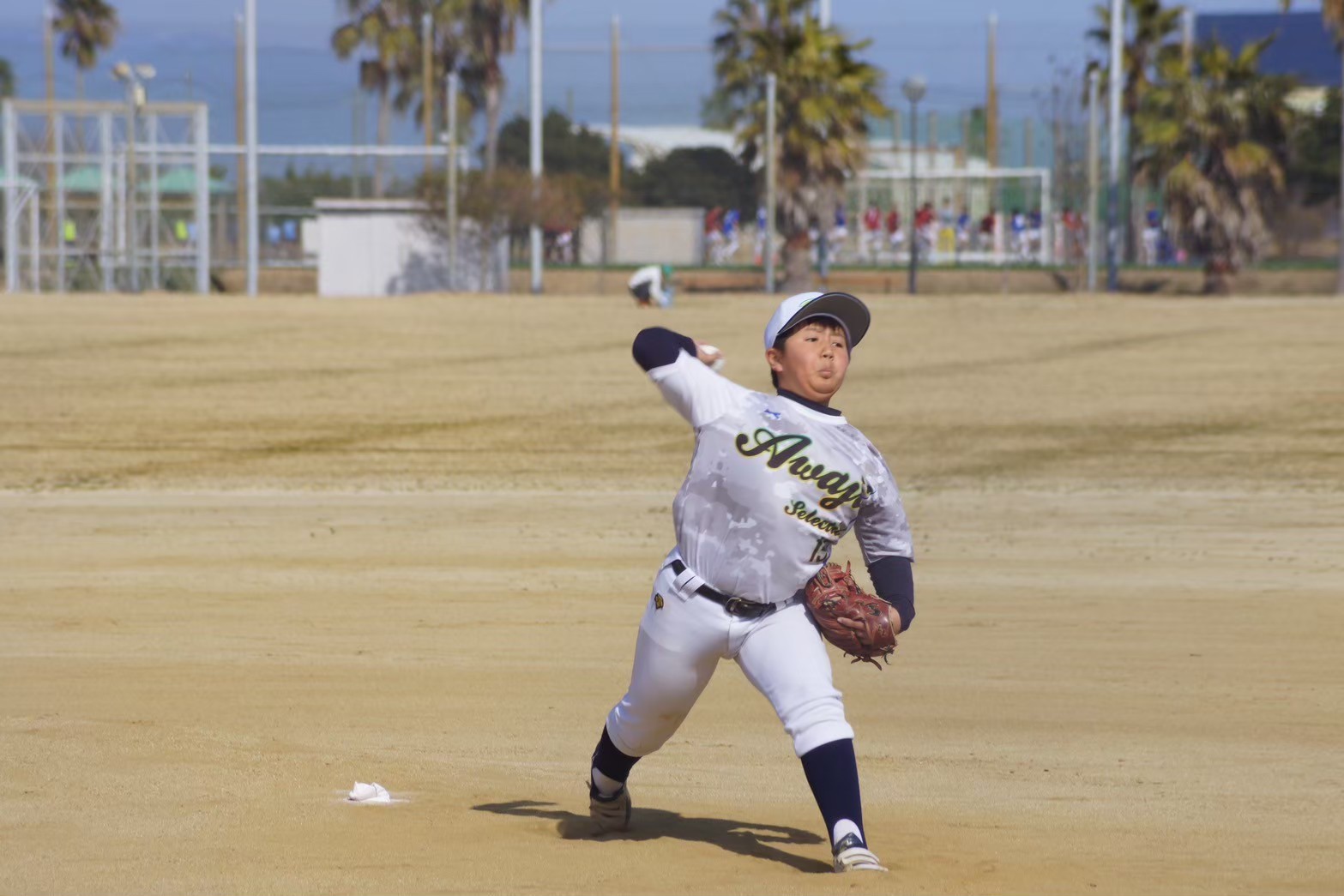 AWAJI Selection (3)