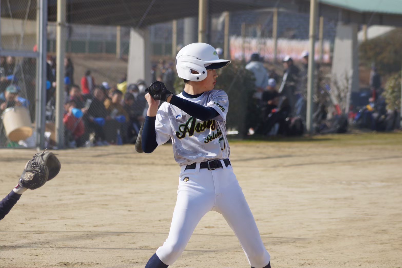 AWAJI Selection (4)