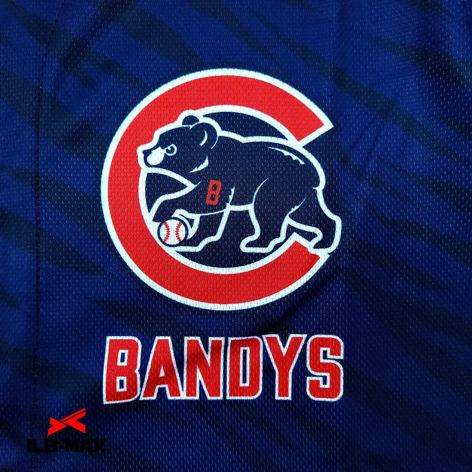 CHUO BANDYS_3rd2