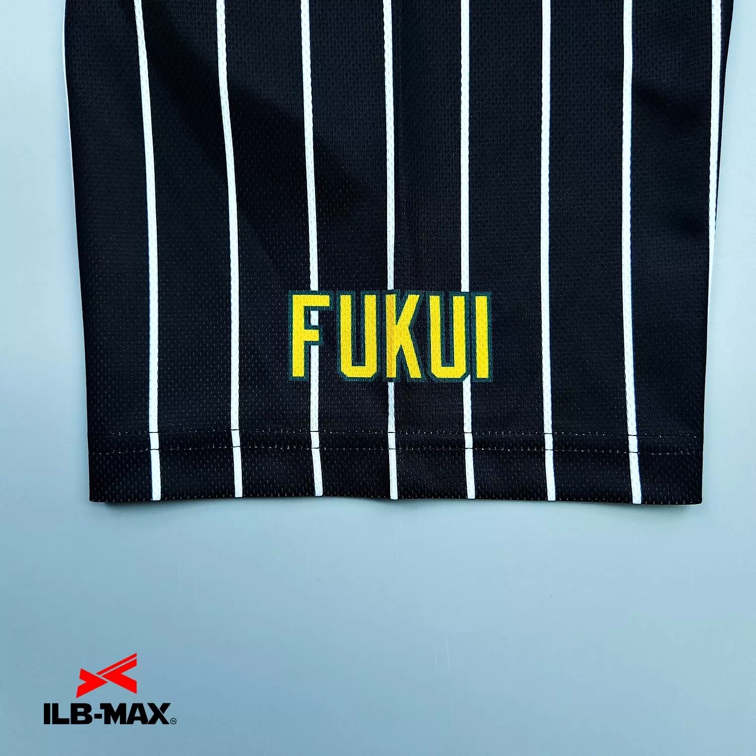 FUKUI GORILLA3