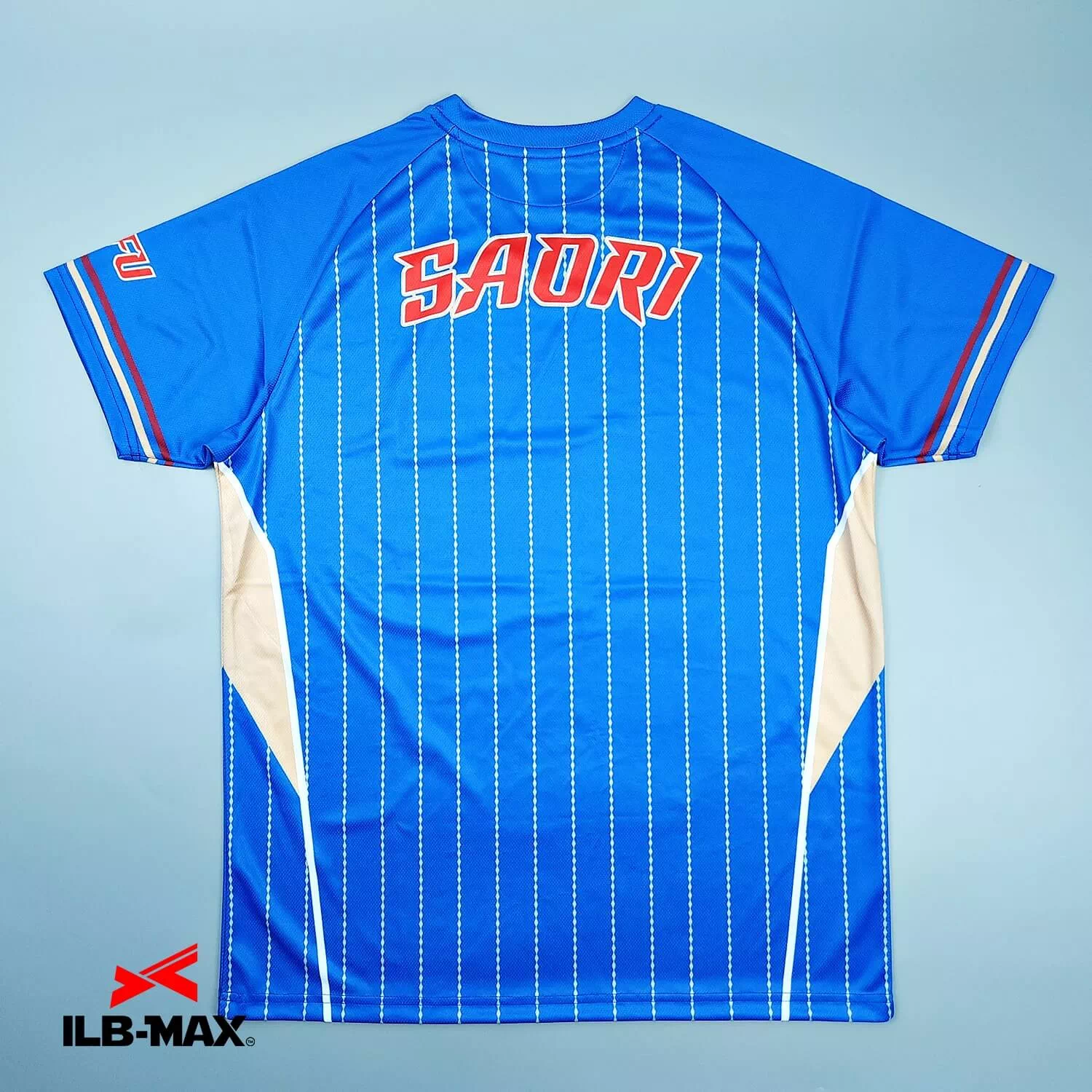 GIFU SOFTBALL CLUB_1st_ST3