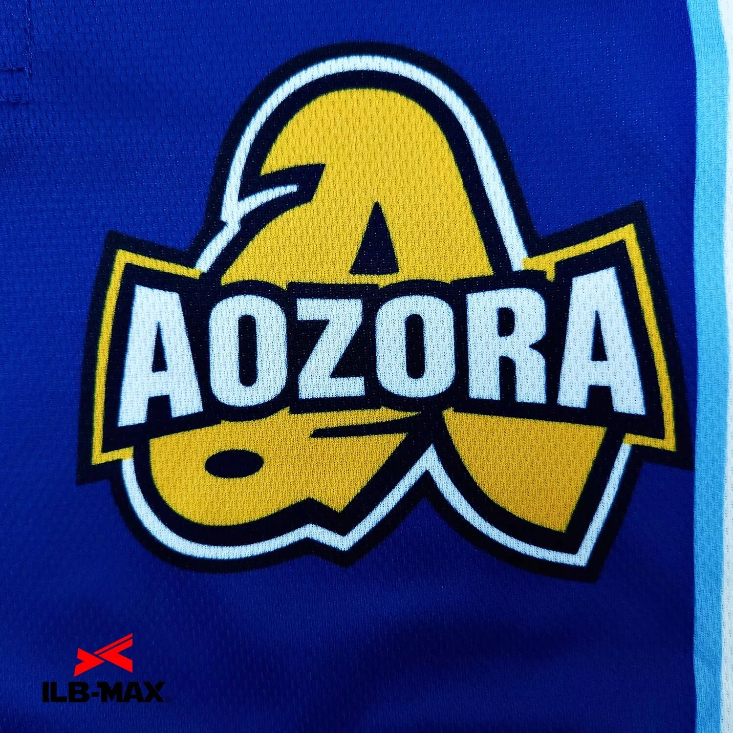 KANAGAWA AOZORA2