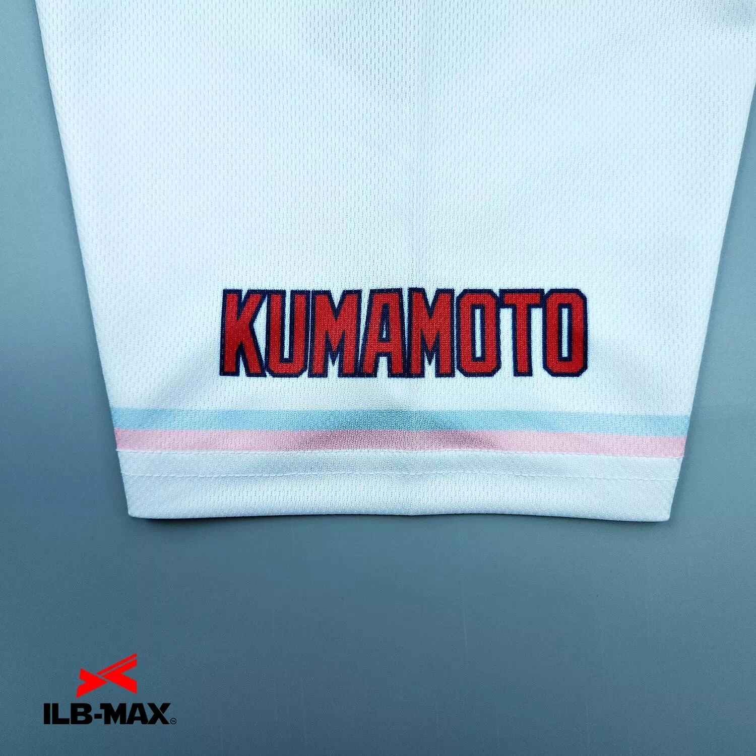 KUMAMOTO Flowers2