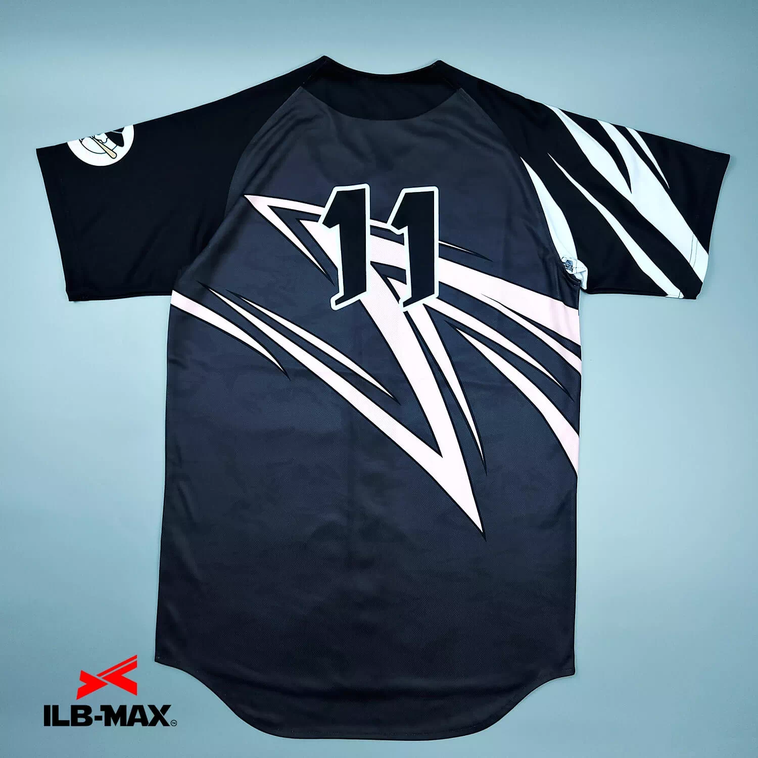 NIIGATA Fighters_1st4