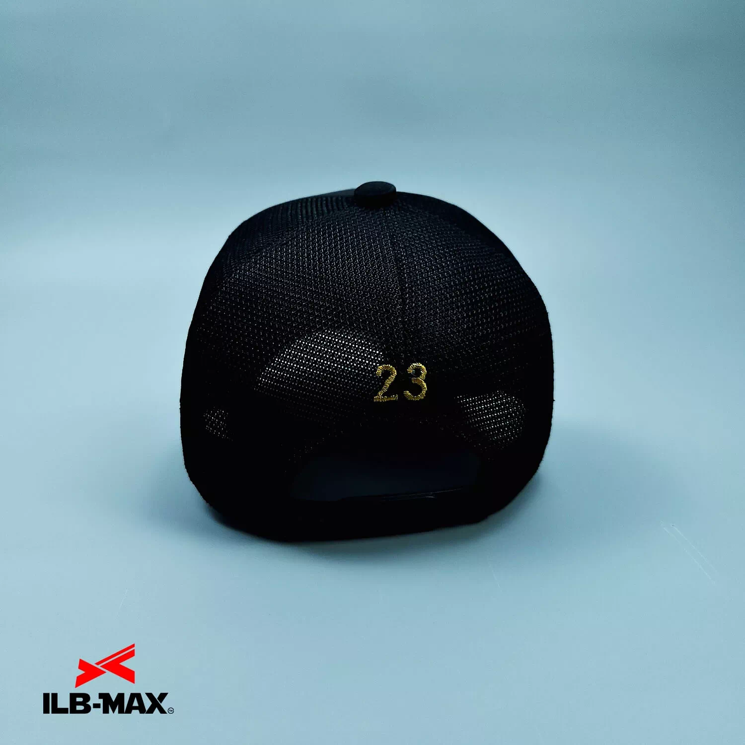 NIIGATA Fighters_1st7