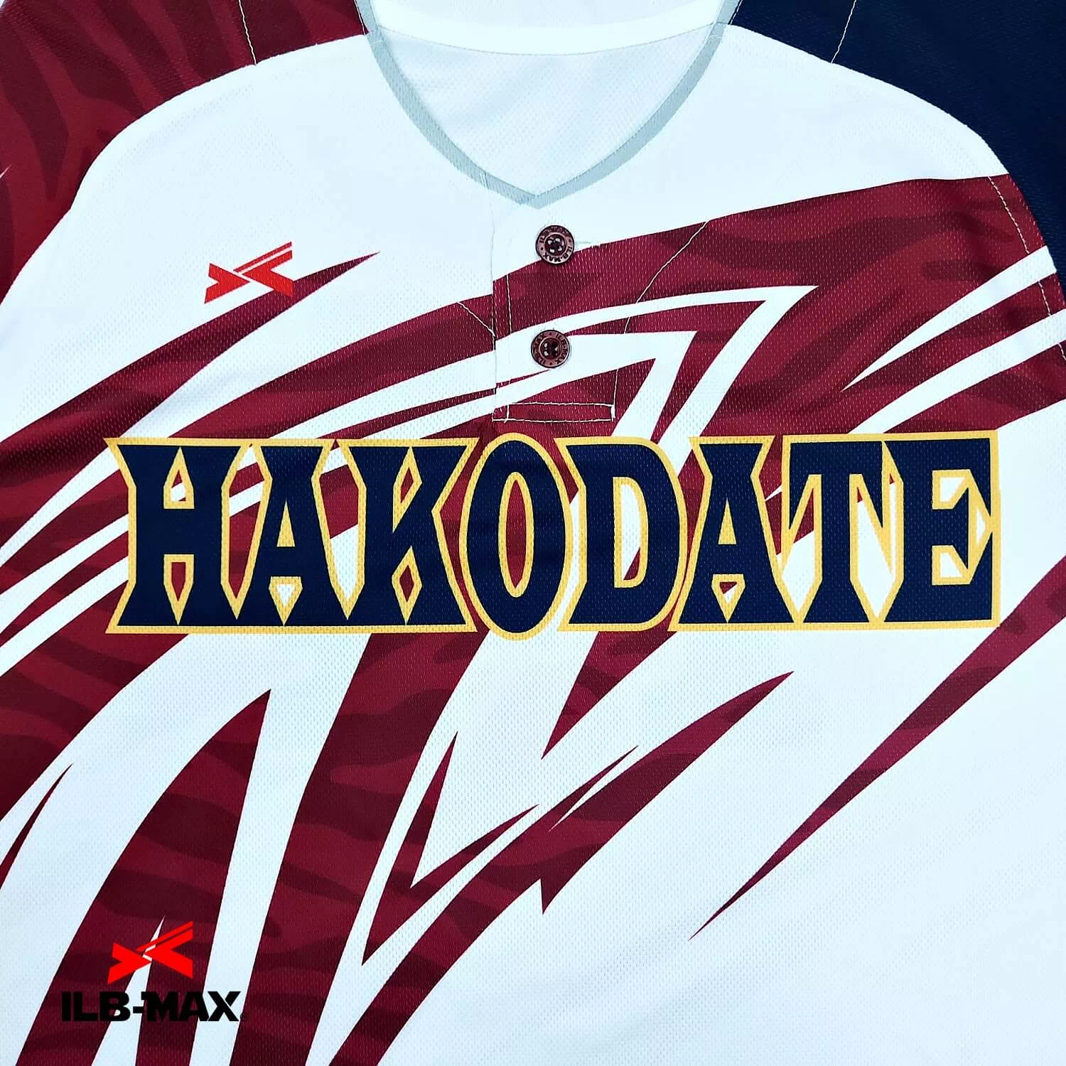 OSHIMA HAKODATE_2nd2