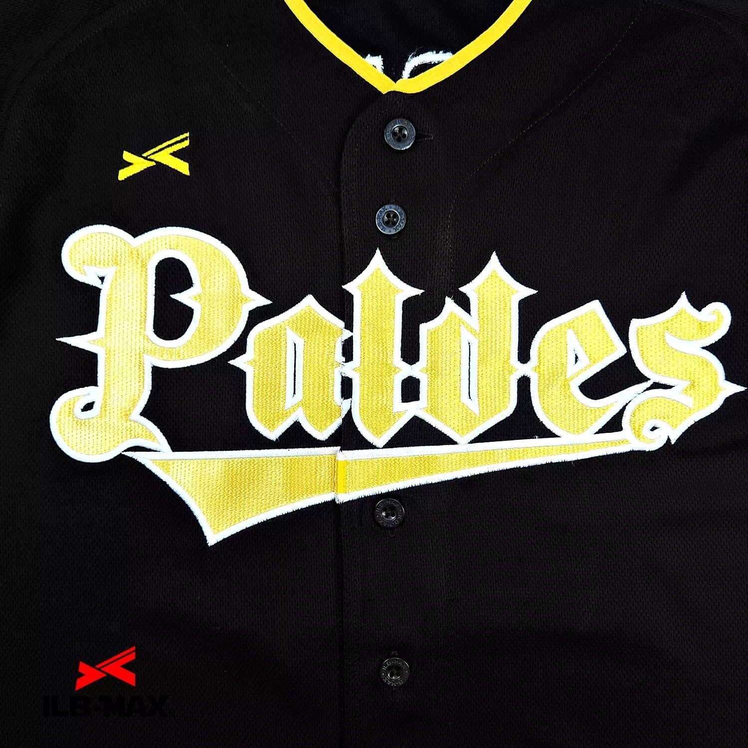 PALDES_2nd1