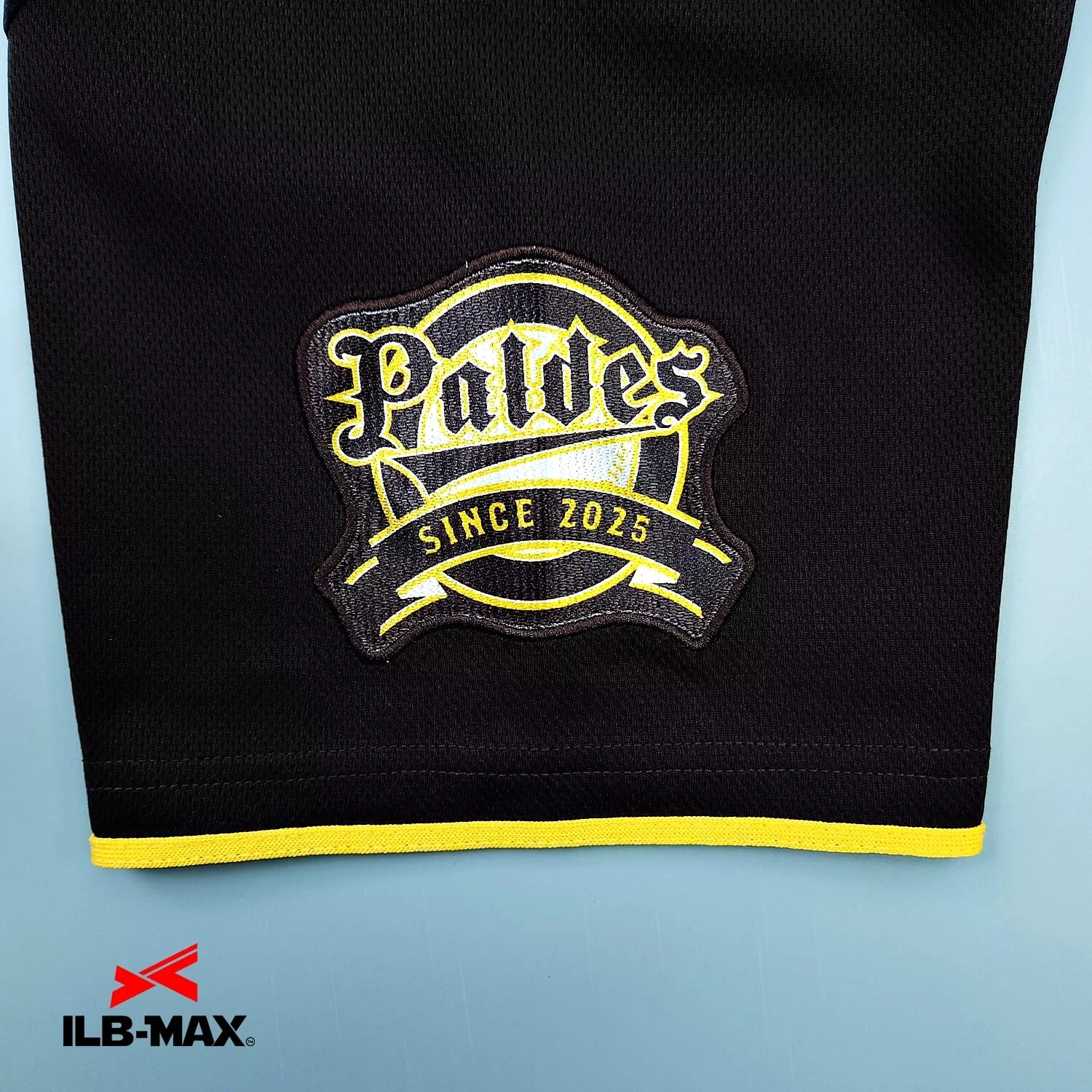 PALDES_2nd3