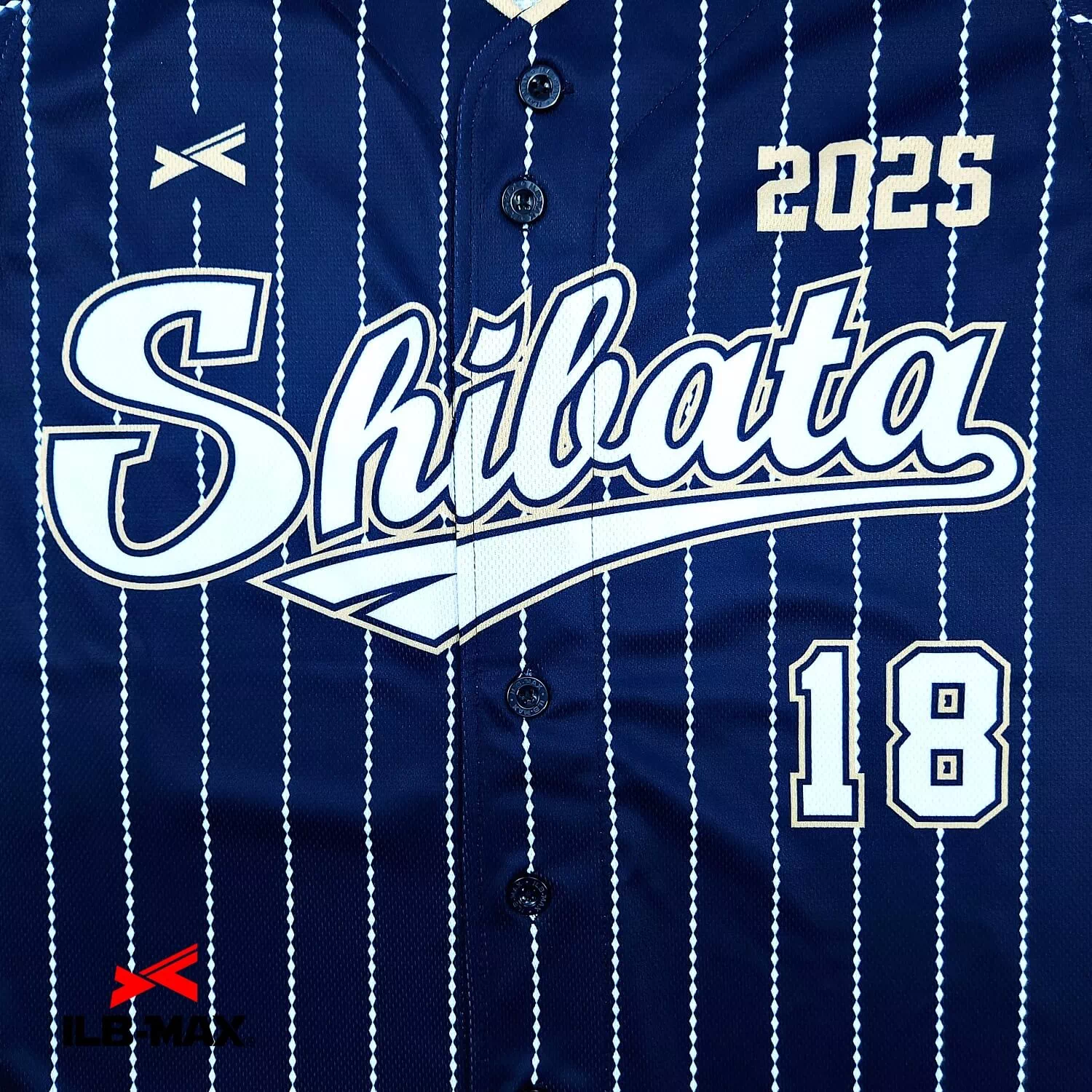 SHIBATA_2nd2