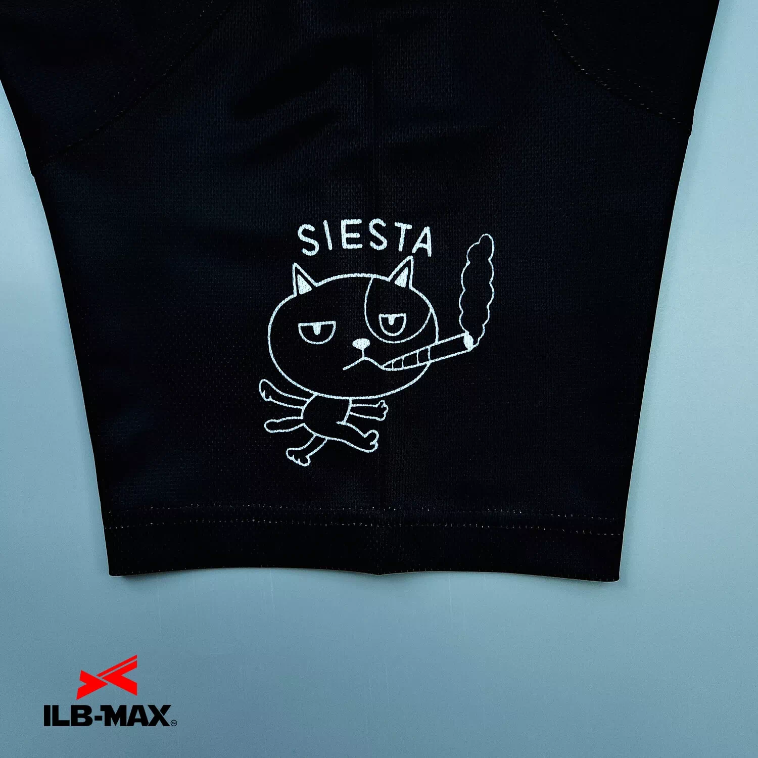 SIESTA_1st4
