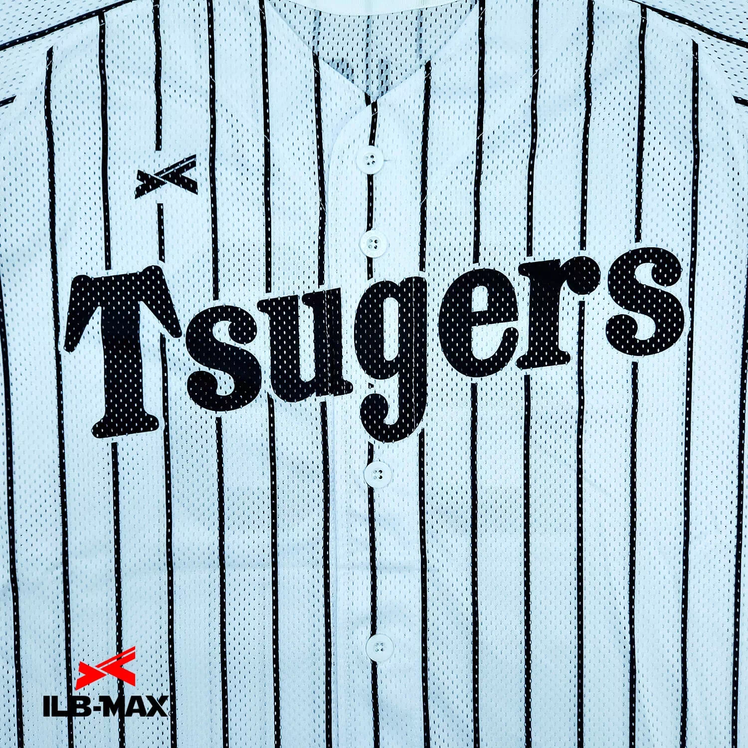 Tsugers_1st1