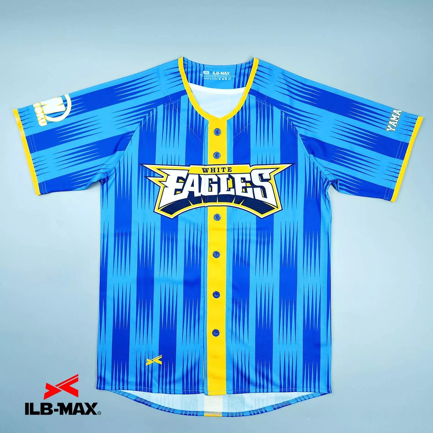 WHITE EAGLES_1st1