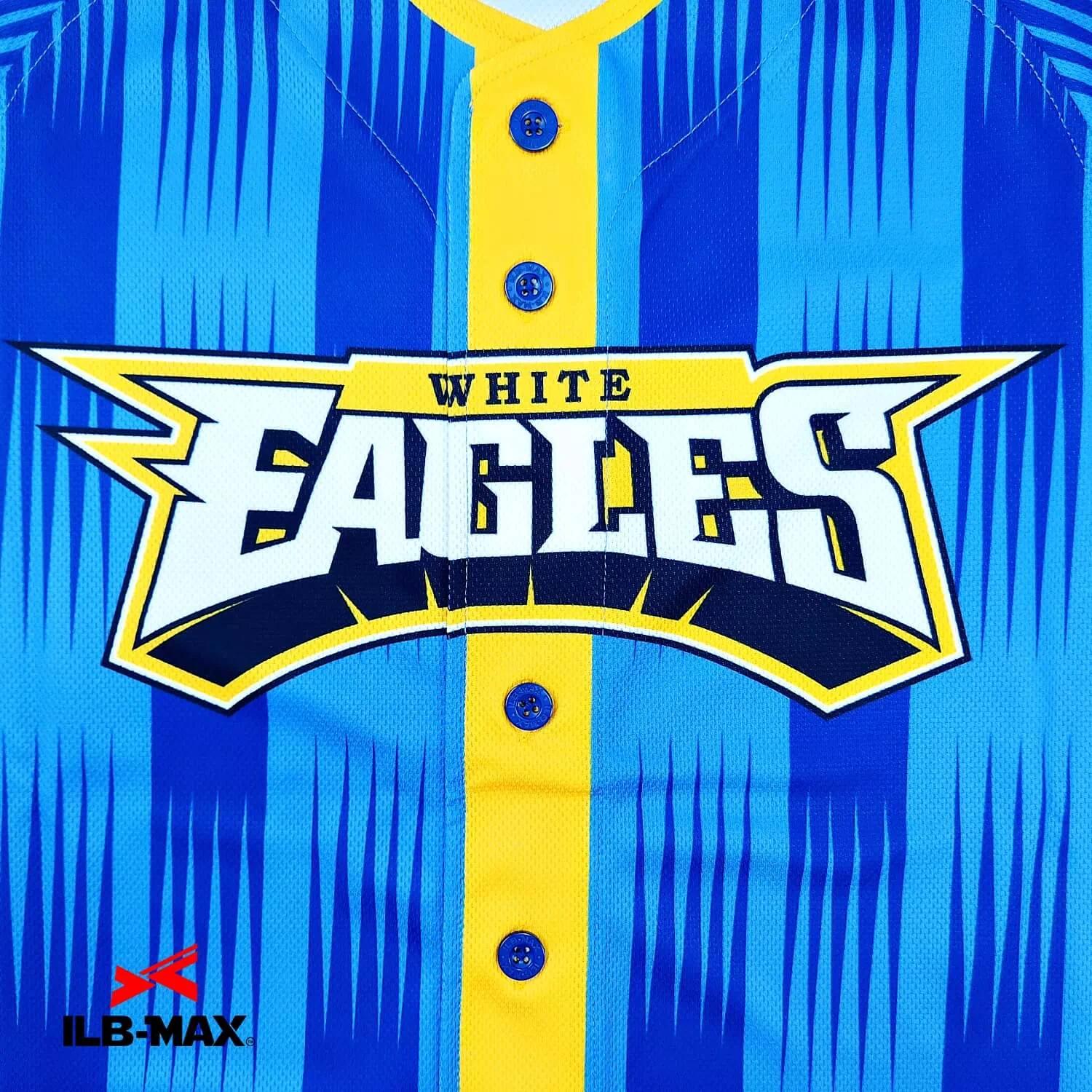 WHITE EAGLES_1st2