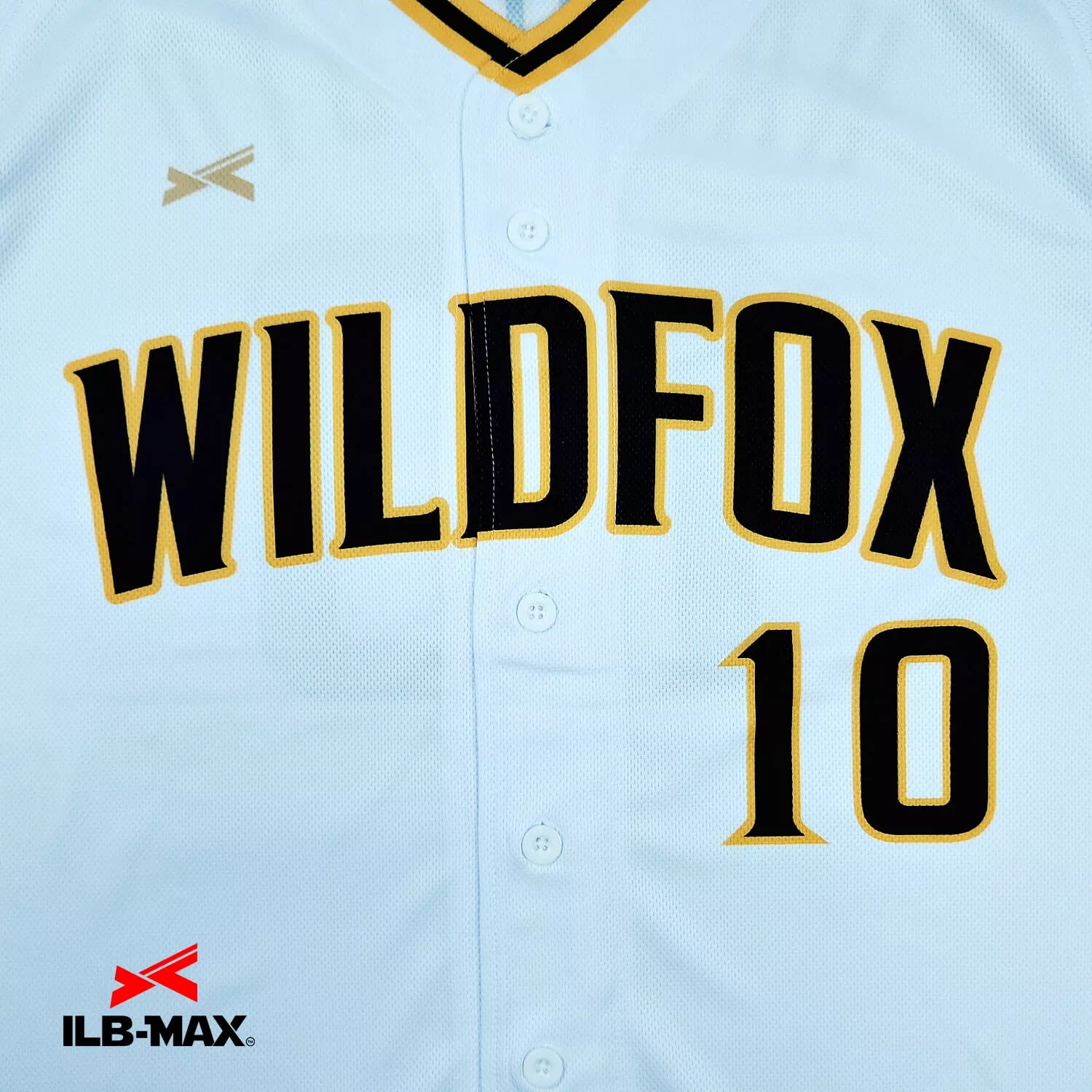 WILDFOX_1st3