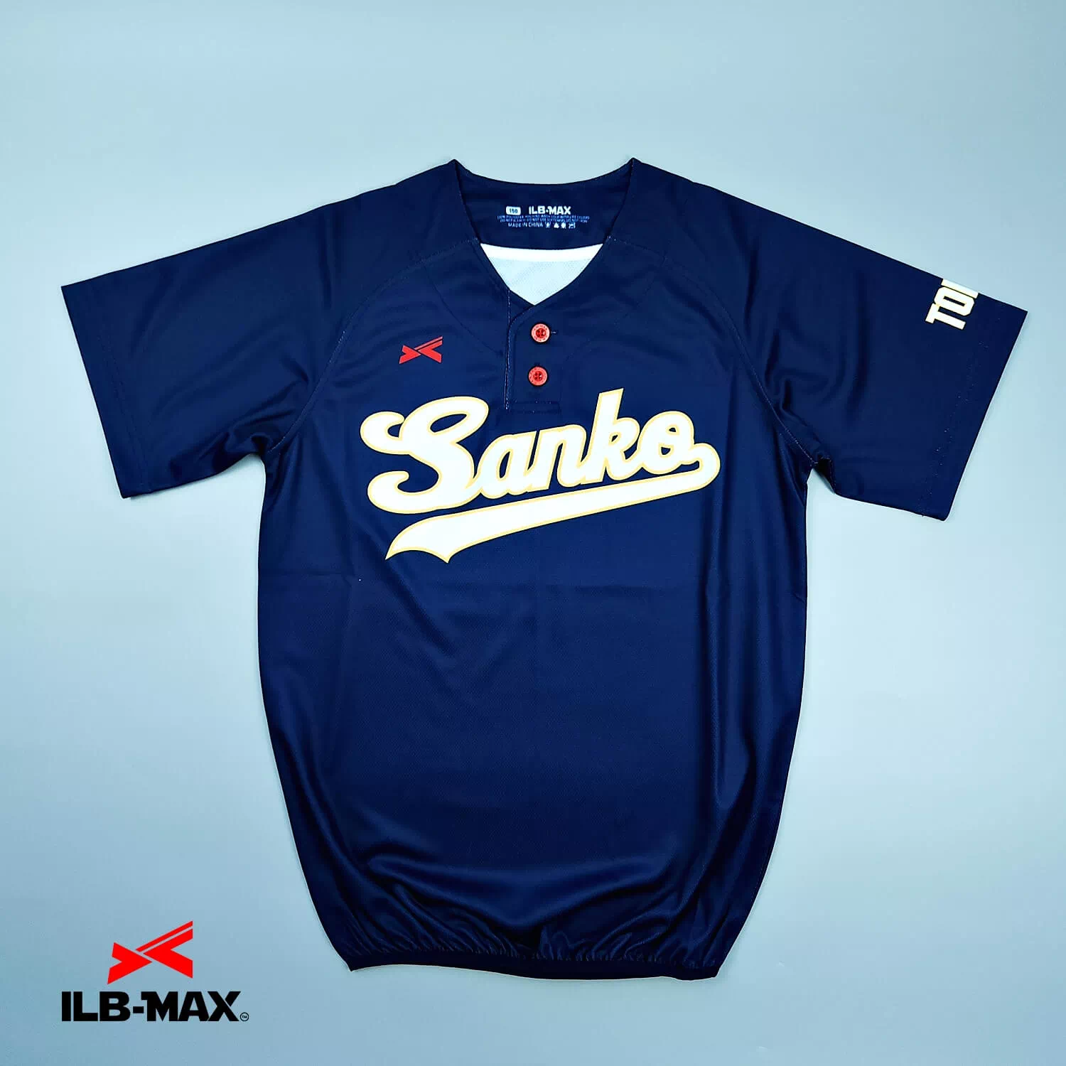 sanko swallows_1st1