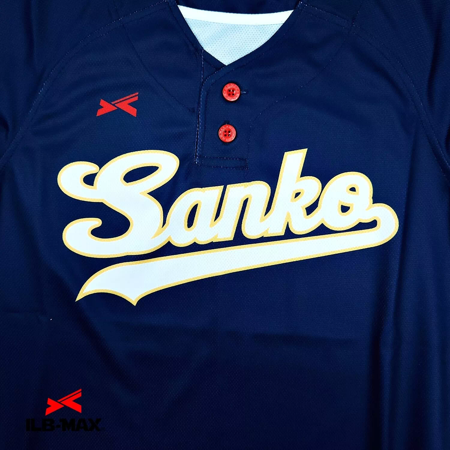 sanko swallows_1st2