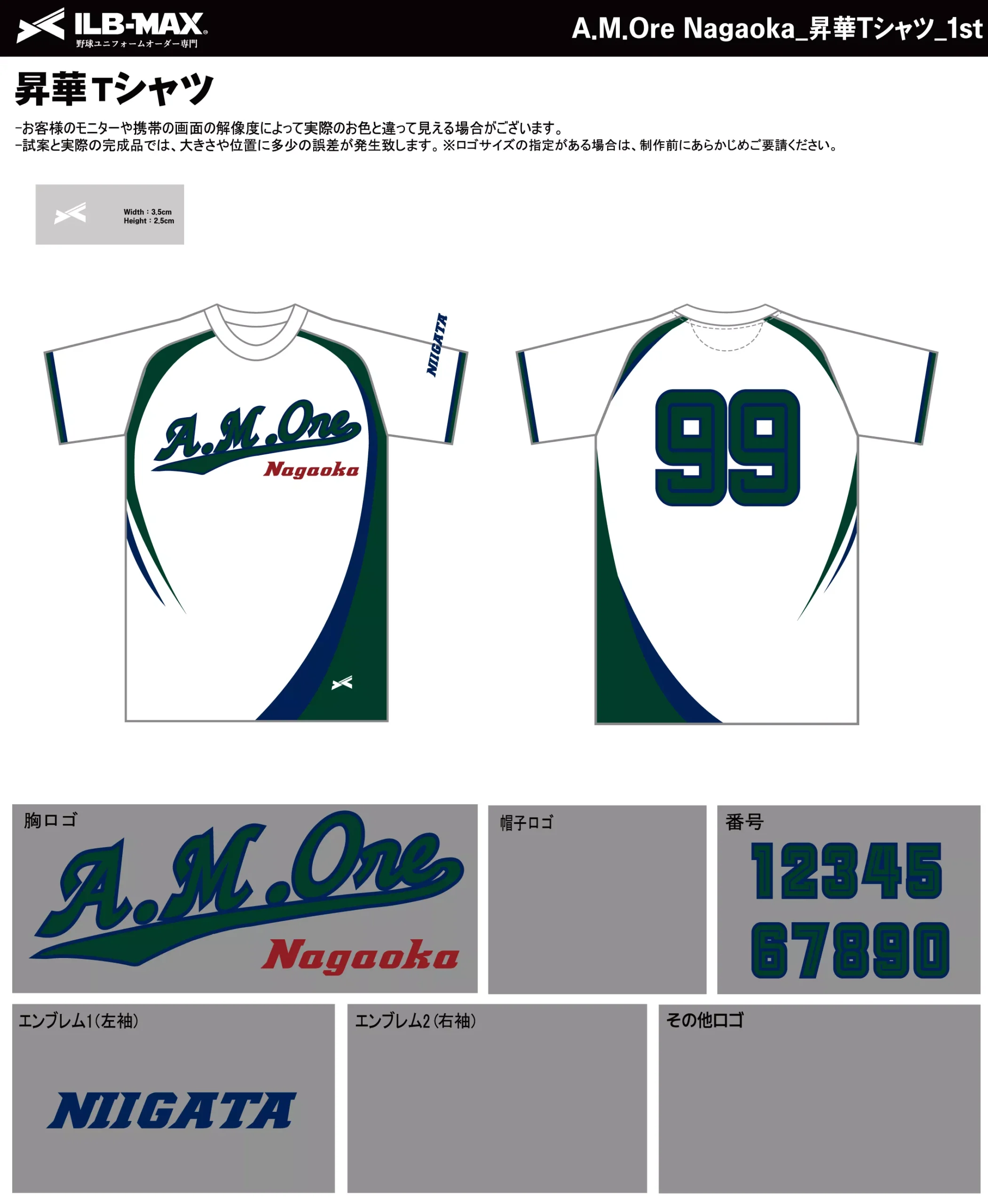 野球 ユニフォーム デザイン_A.M.Ore Nagaoka_1st_ST.webp