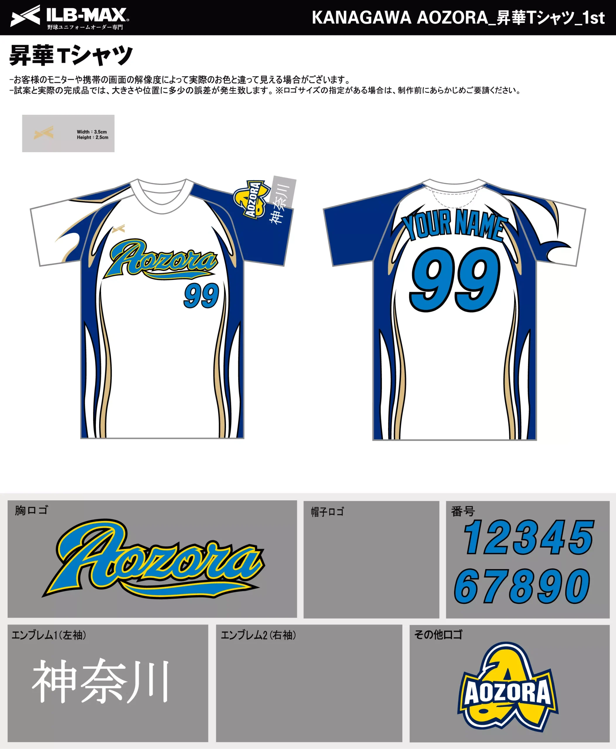 野球 ユニフォーム デザイン_KANAGAWA AOZORA_1st_ST.webp