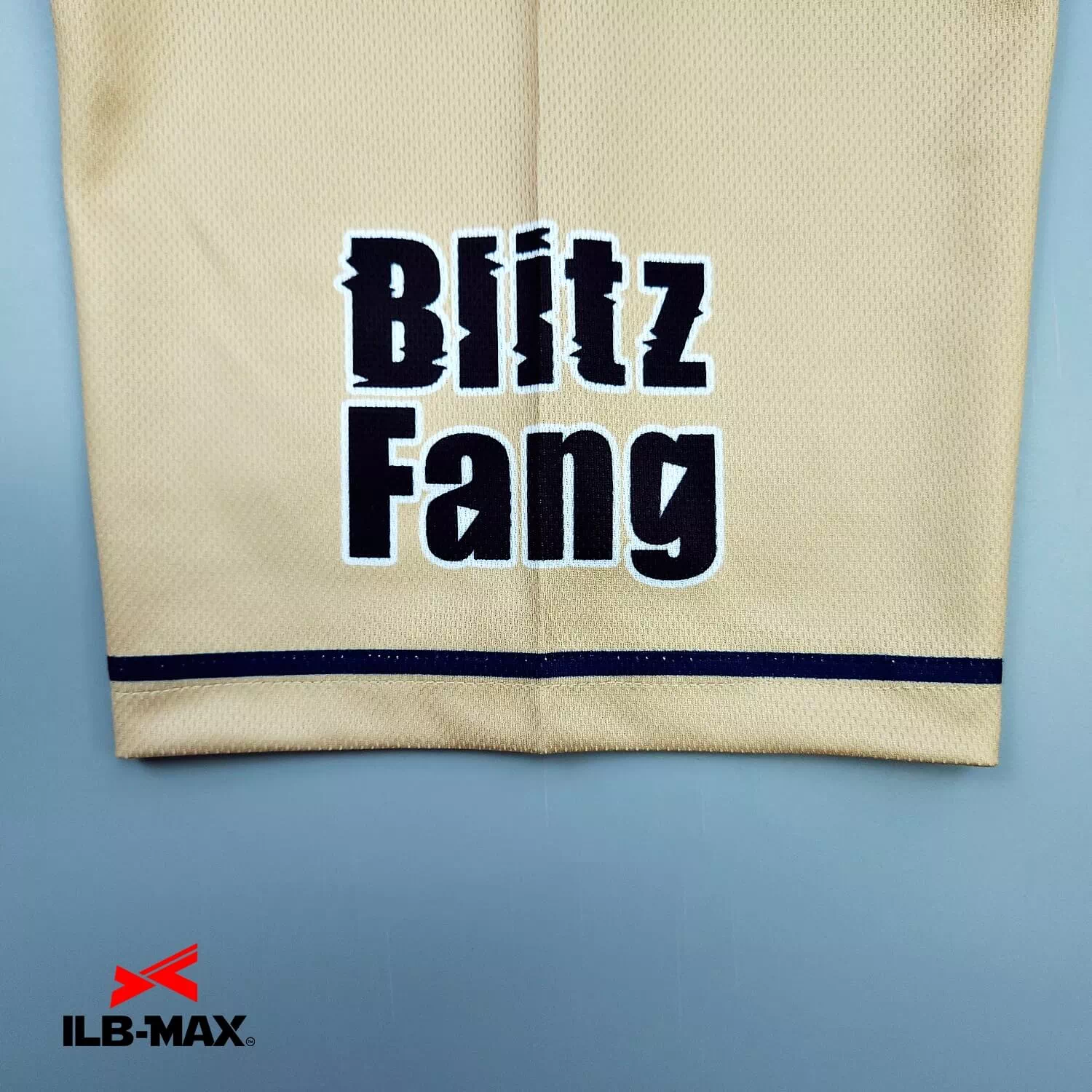 Blitz Fang_1st3