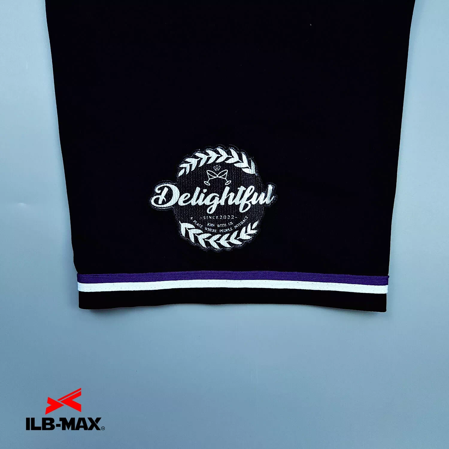 Delightful_3rd2