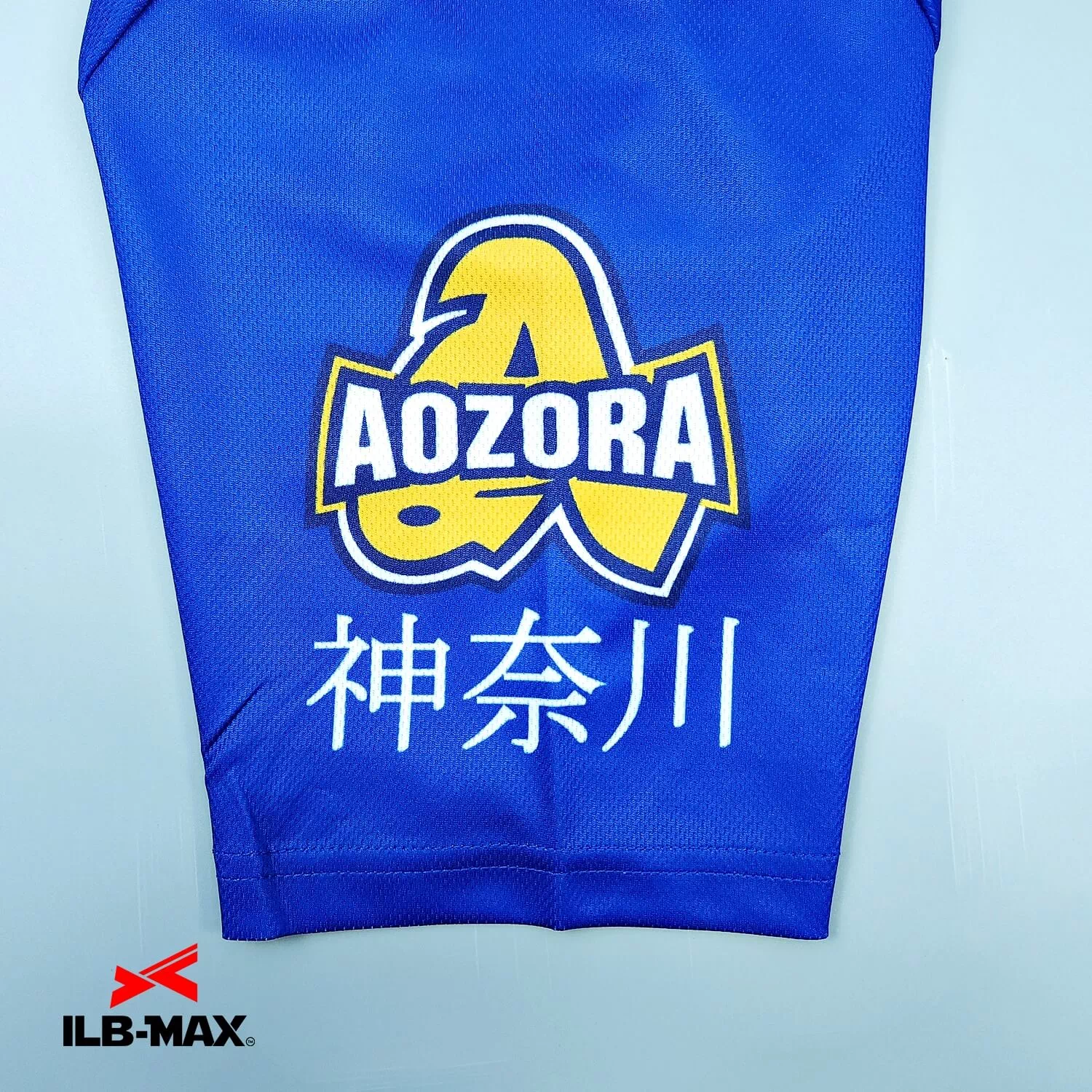 KANAGAWA AOZORA_1st_ST2