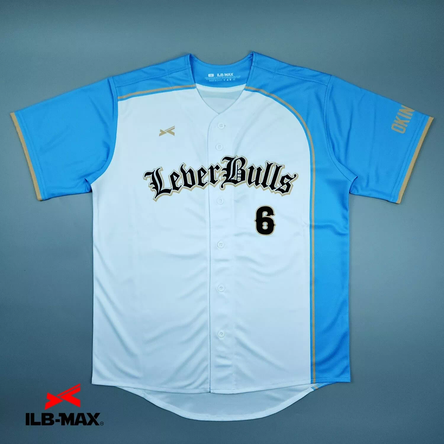 LeberBulls_1st1