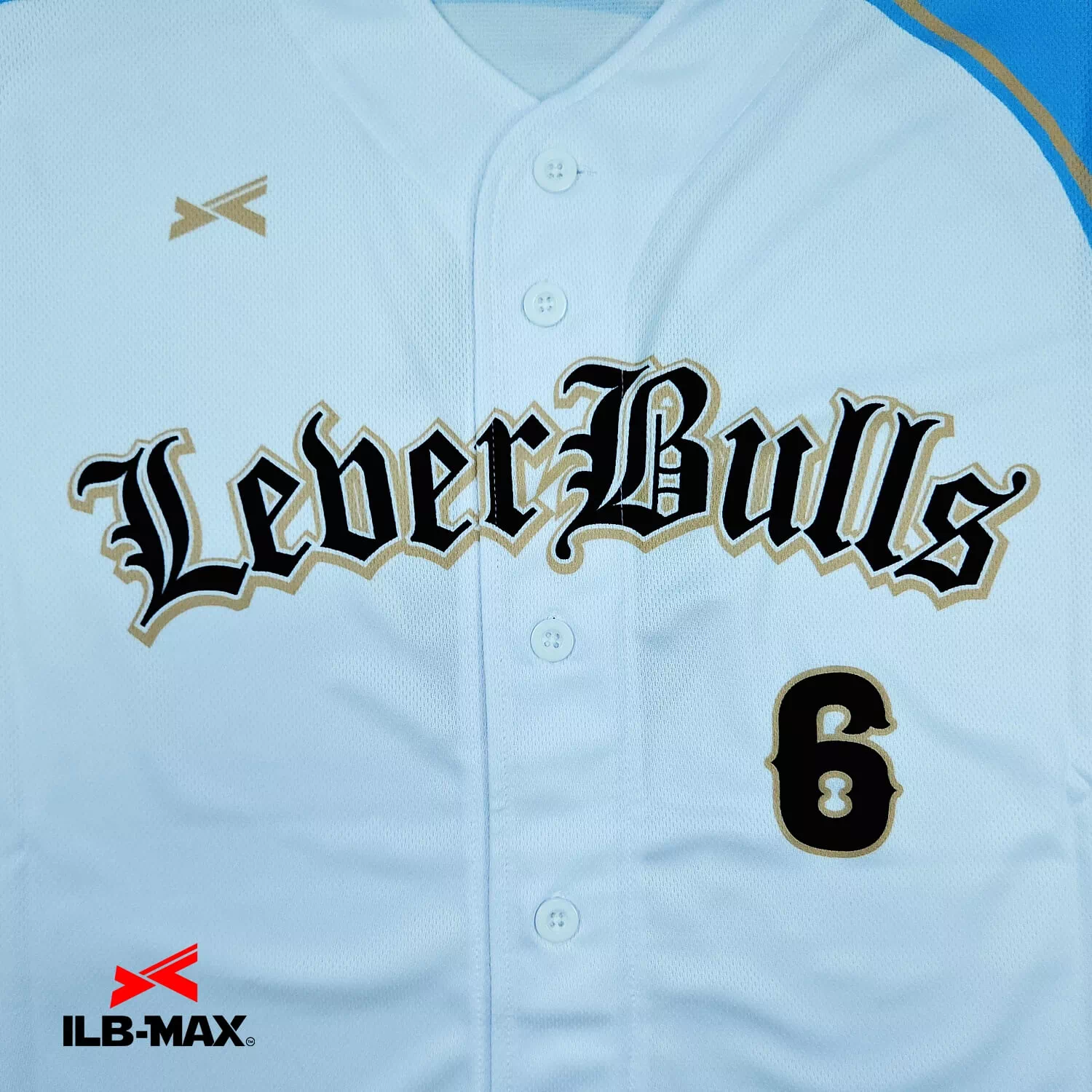 LeberBulls_1st2